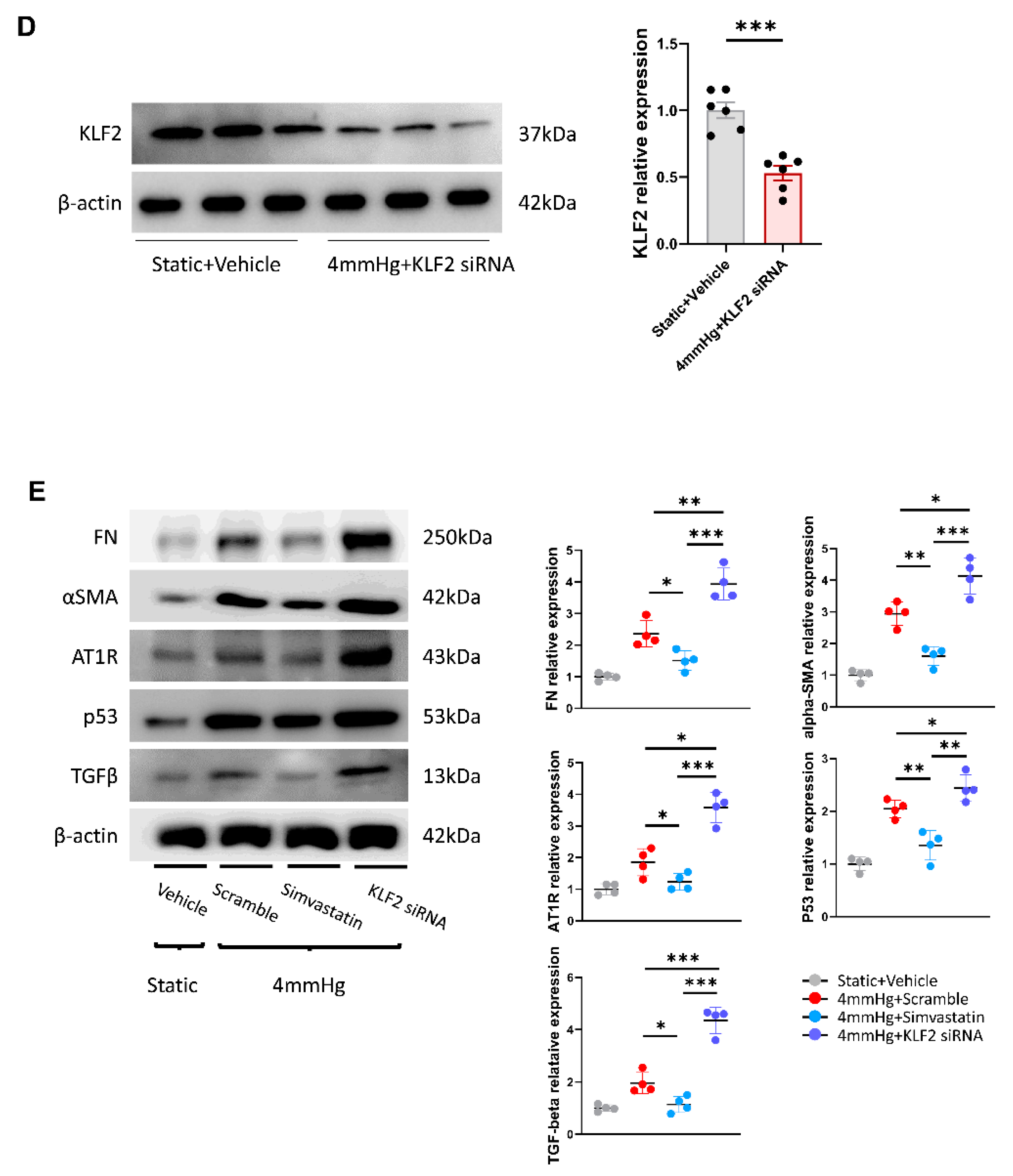Cells 11 00762 g004b