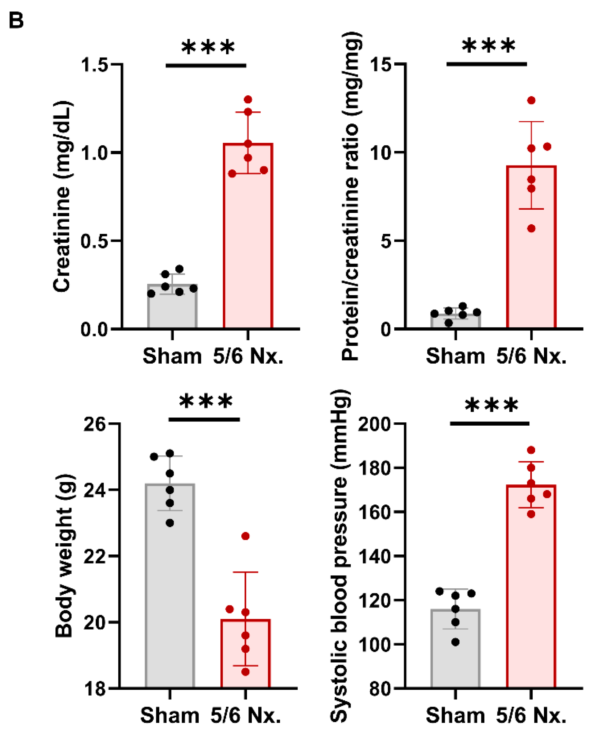 Cells 11 00762 g005b
