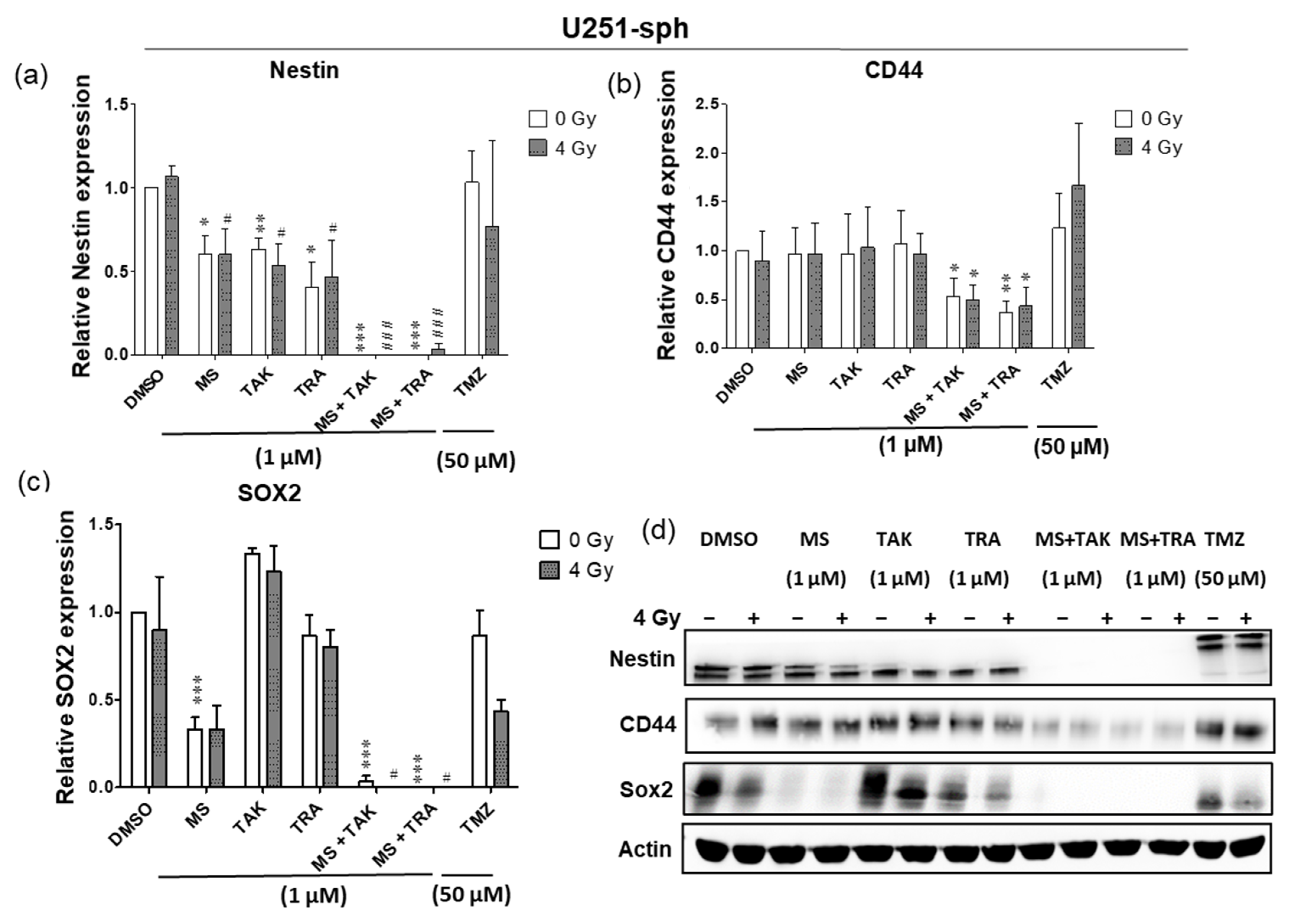 Cells 11 00775 g004a