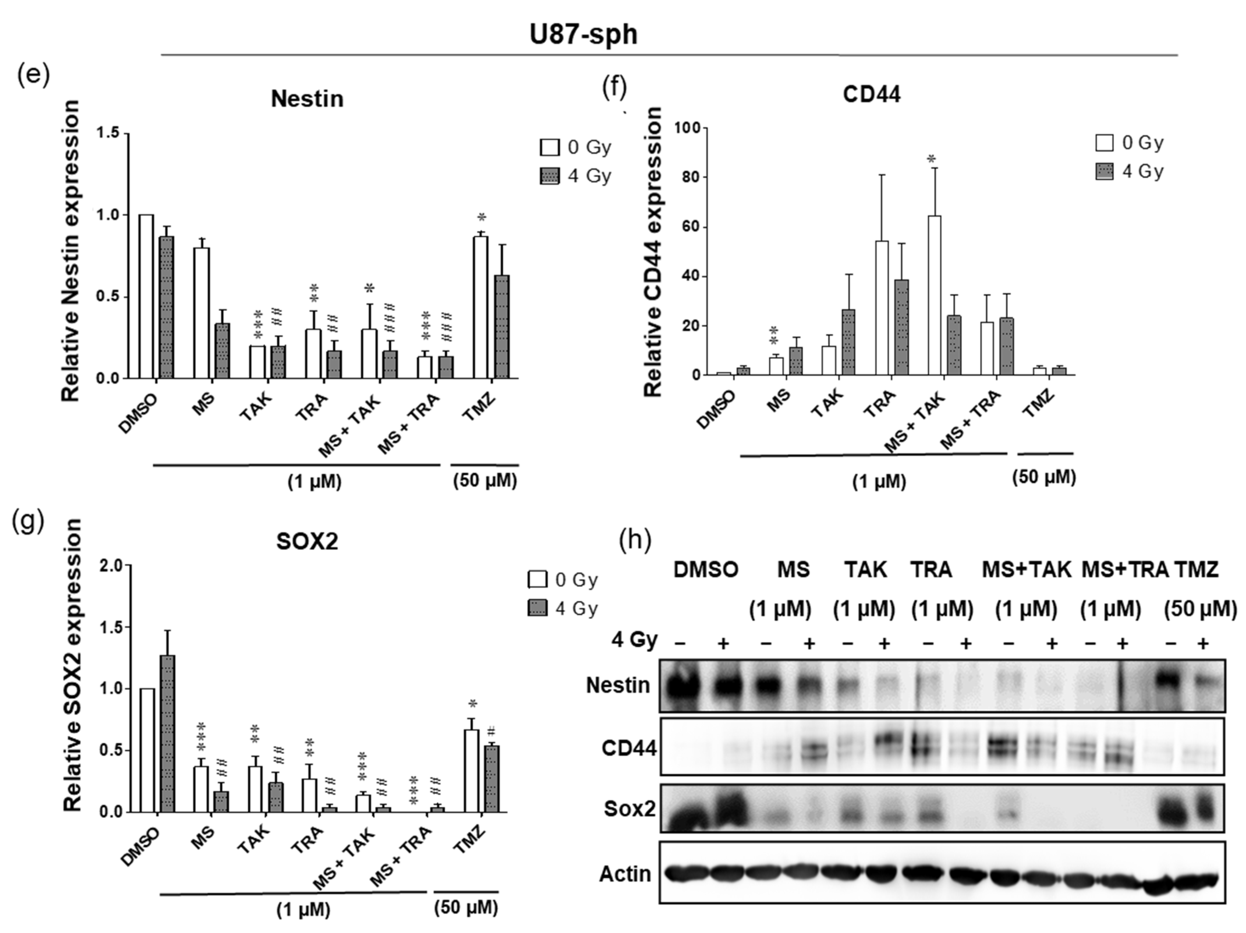 Cells 11 00775 g004b