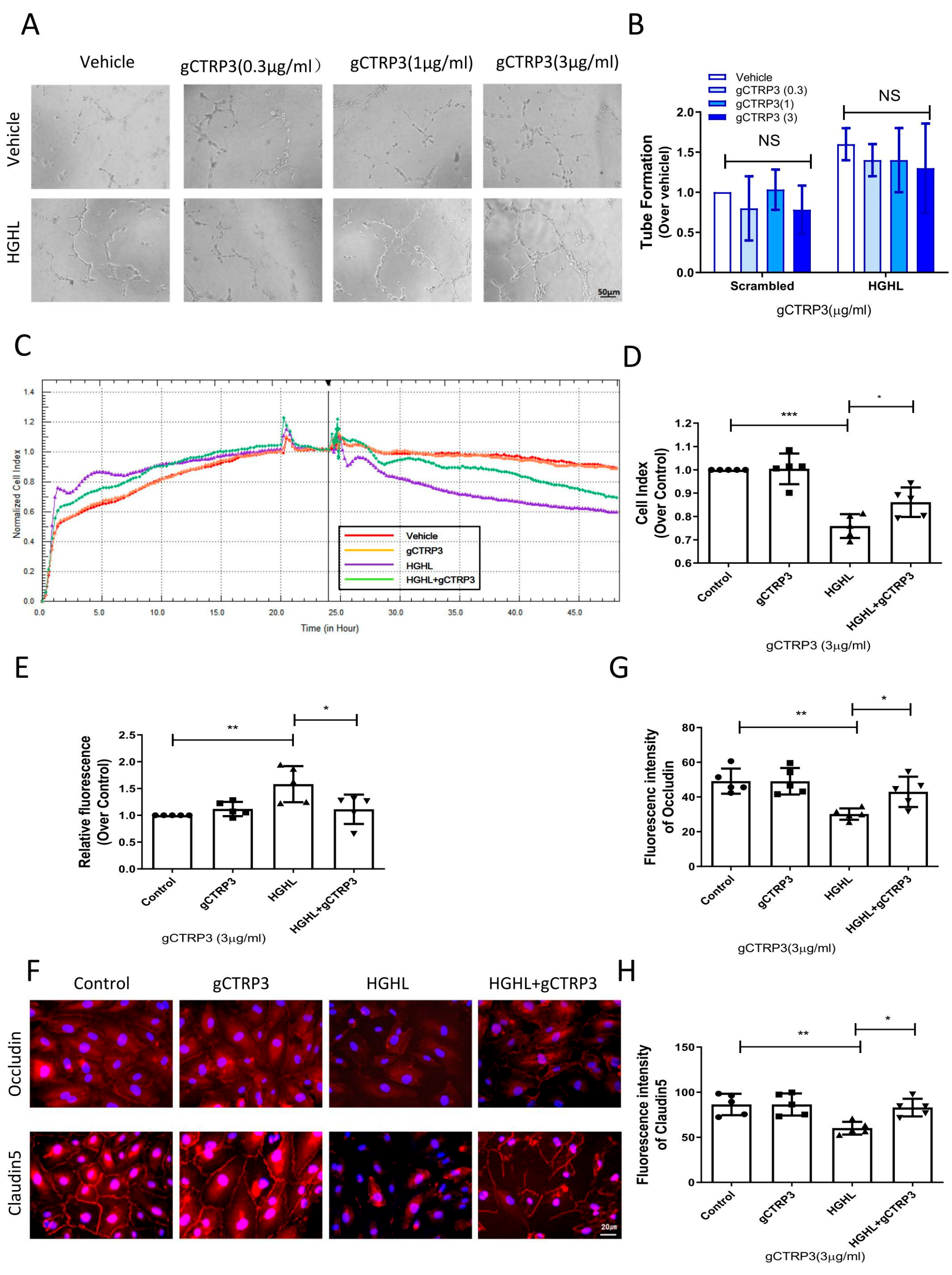 Cells 11 00779 g003 Cells 11 00779 g003