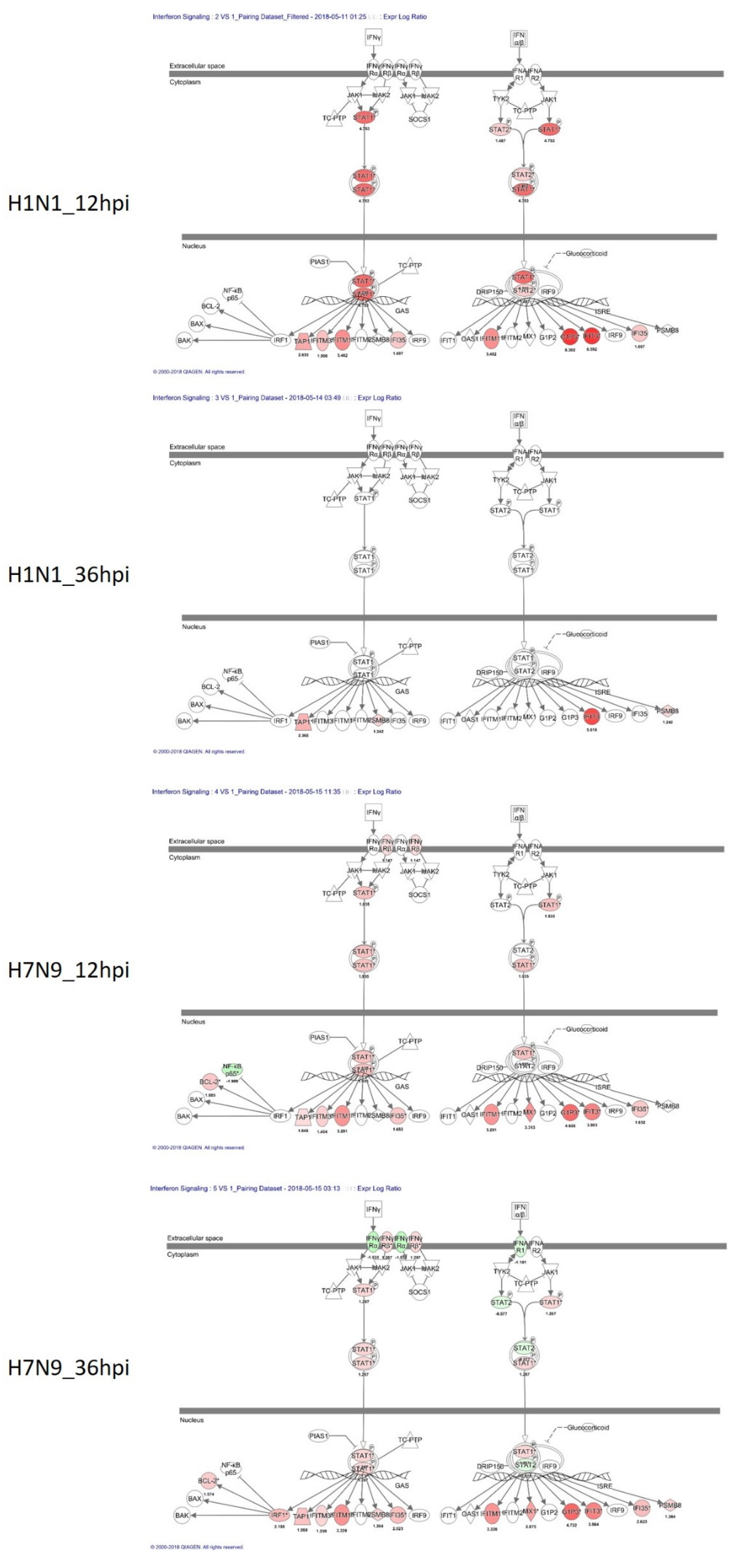 Cells 11 00781 g004 550
