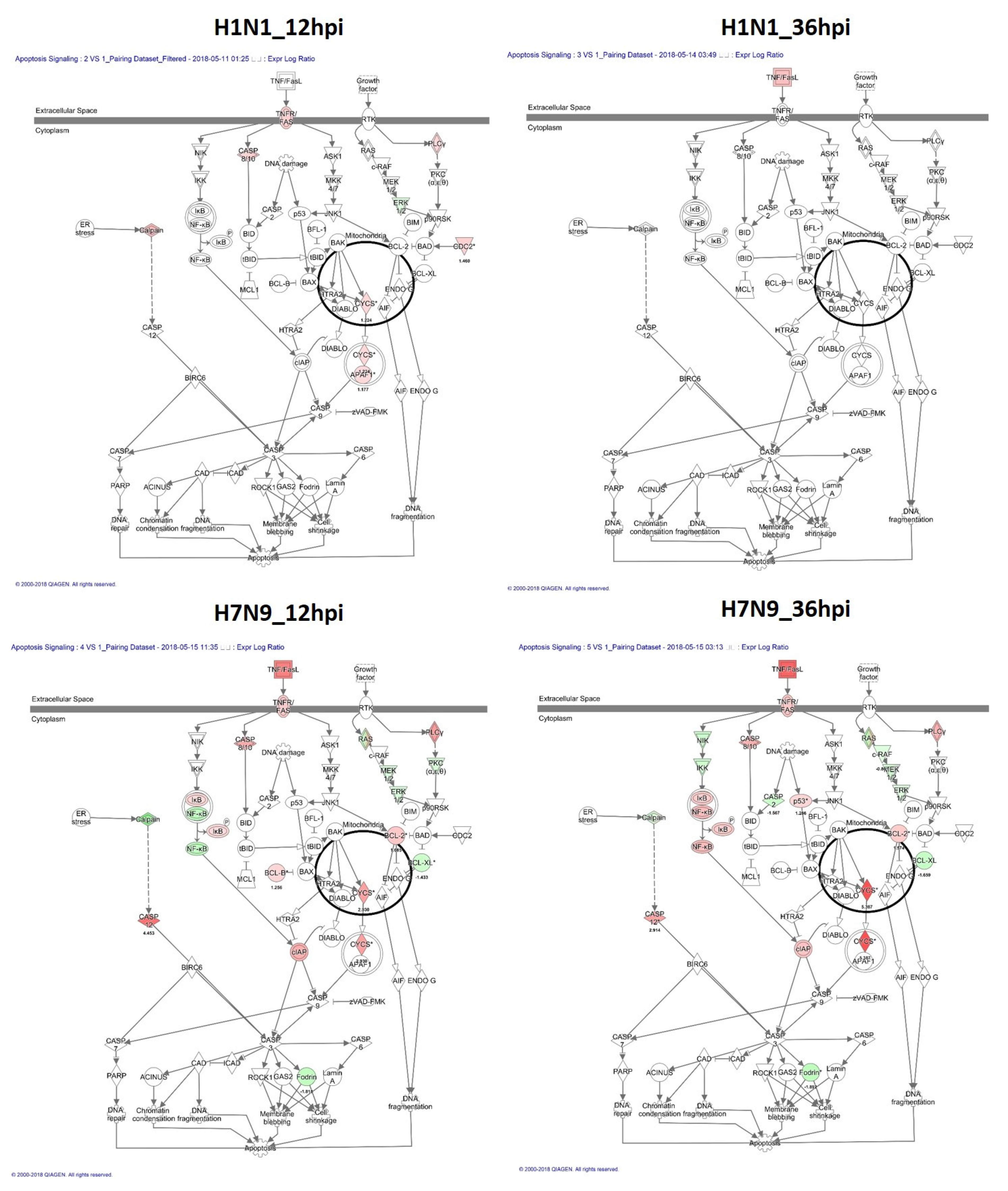Cells 11 00781 g005 550