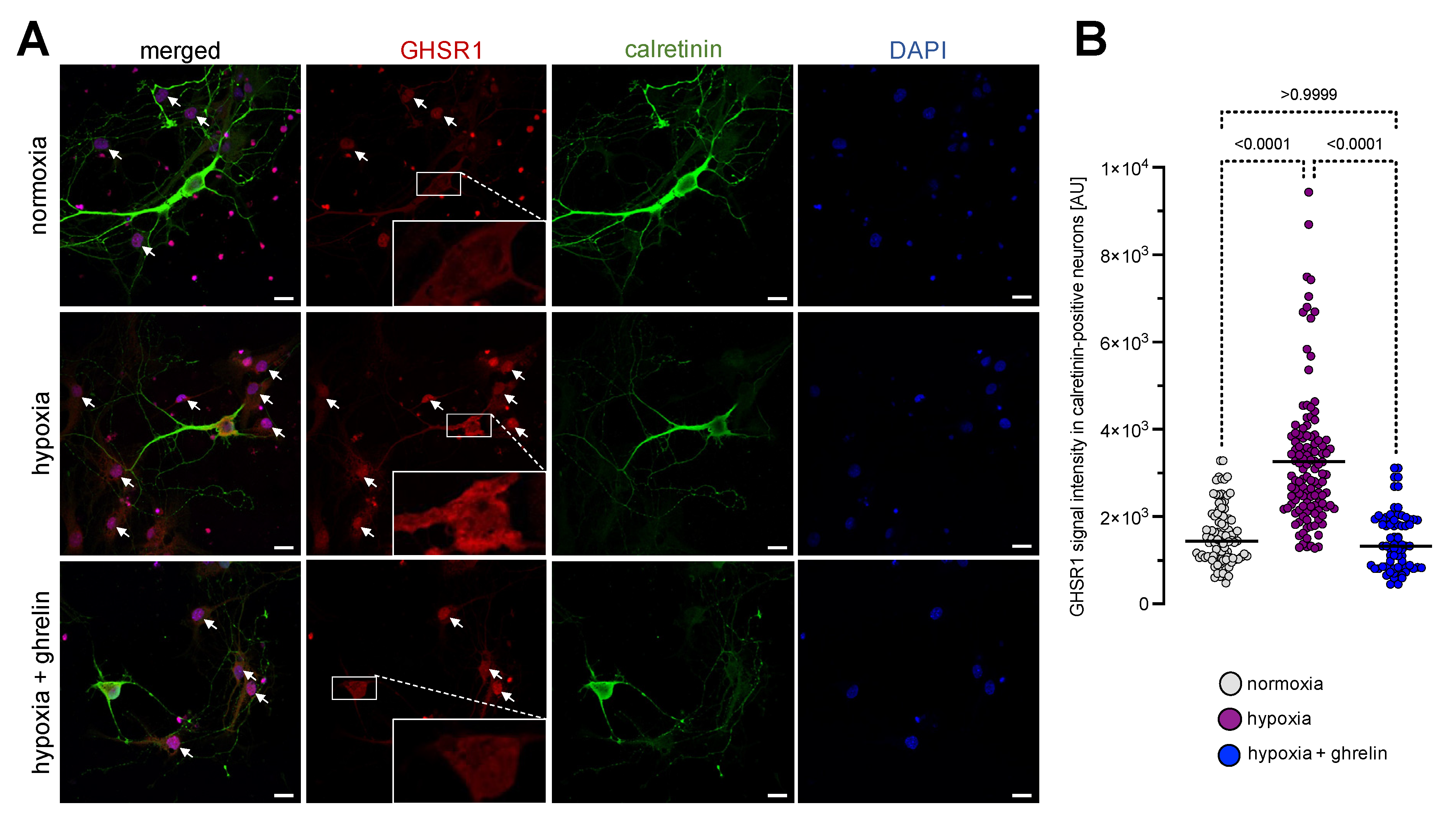 Cells 11 00782 g002 550