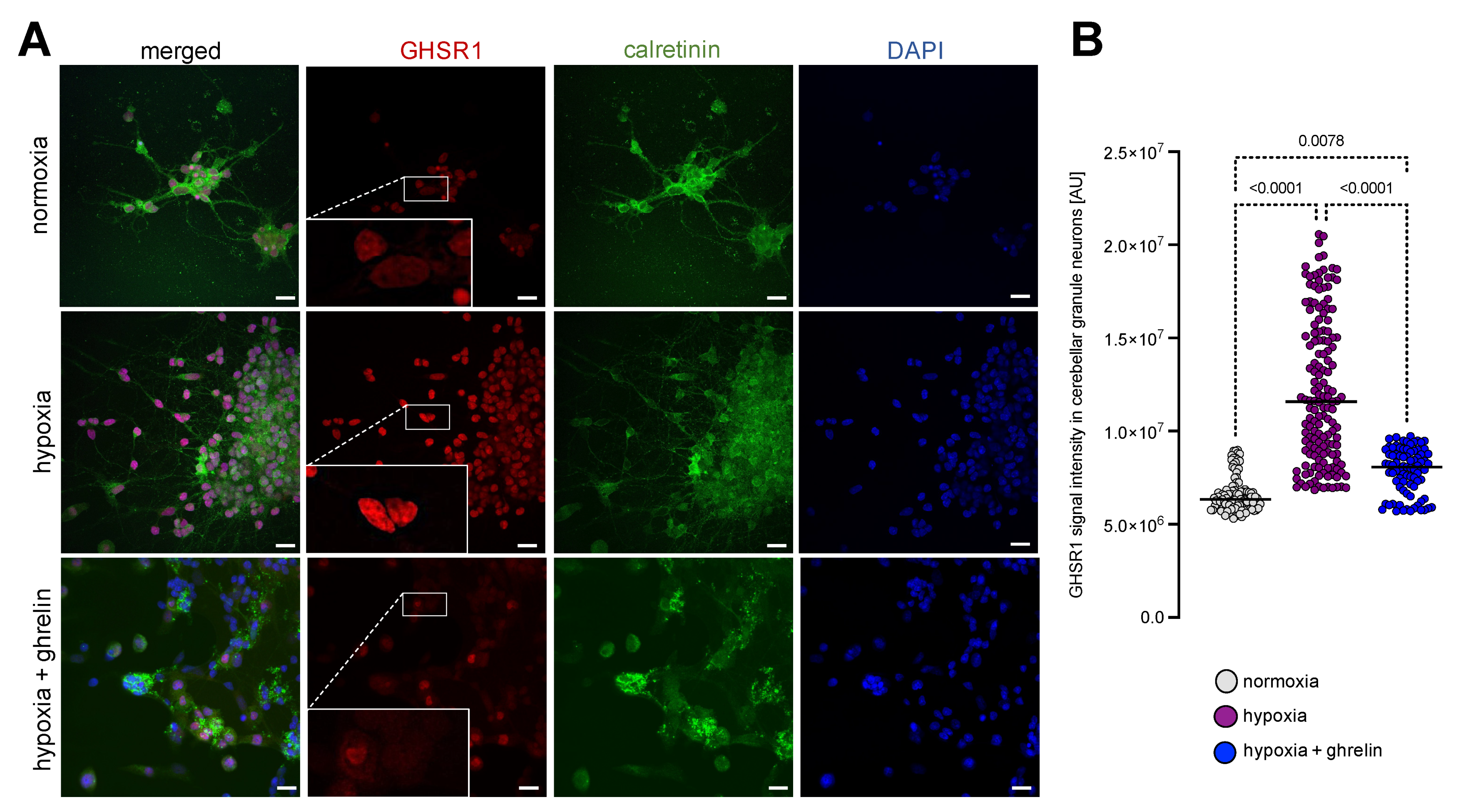 Cells 11 00782 g003 550