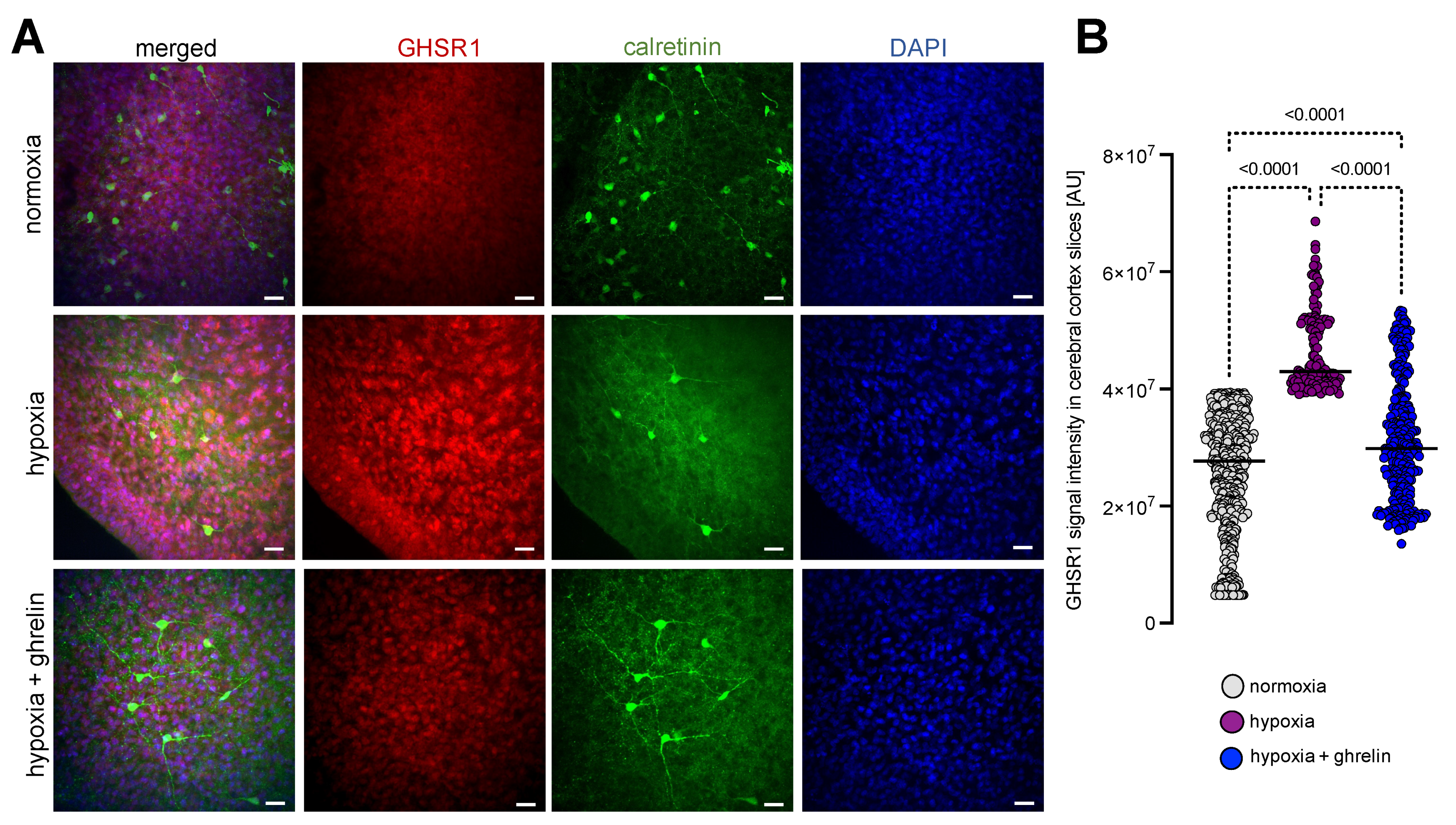 Cells 11 00782 g004 550