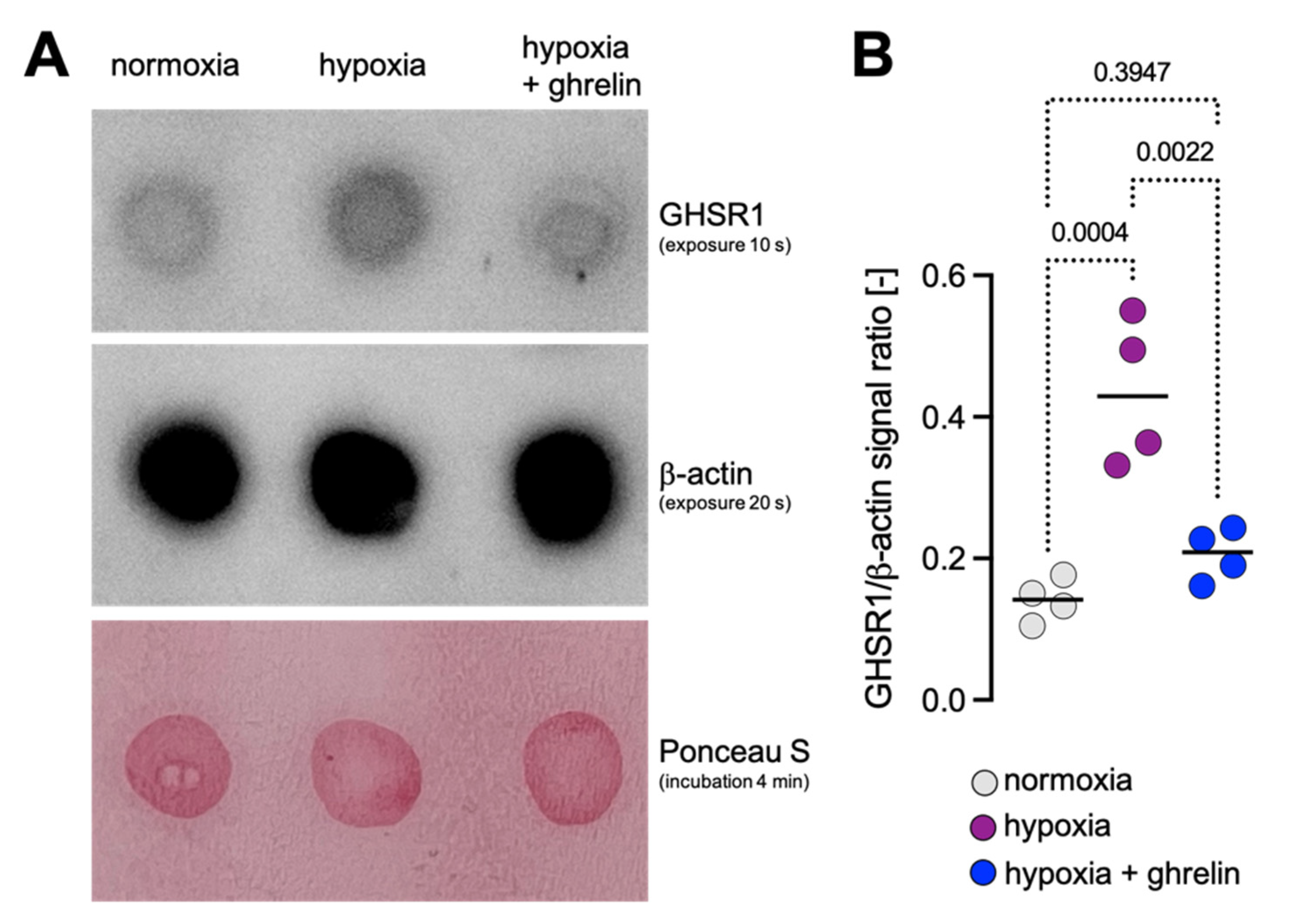 Cells 11 00782 g005 550