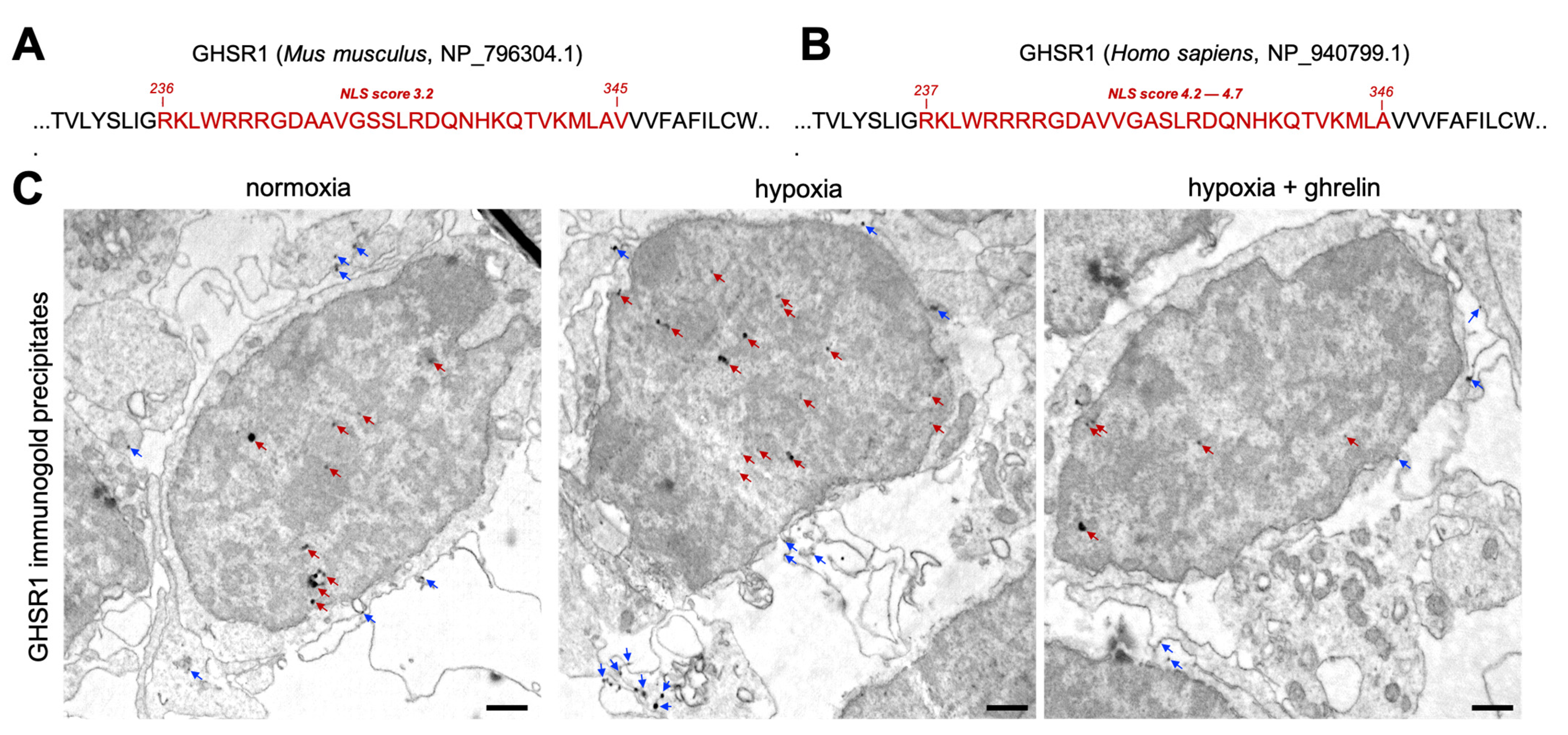 Cells 11 00782 g006 550