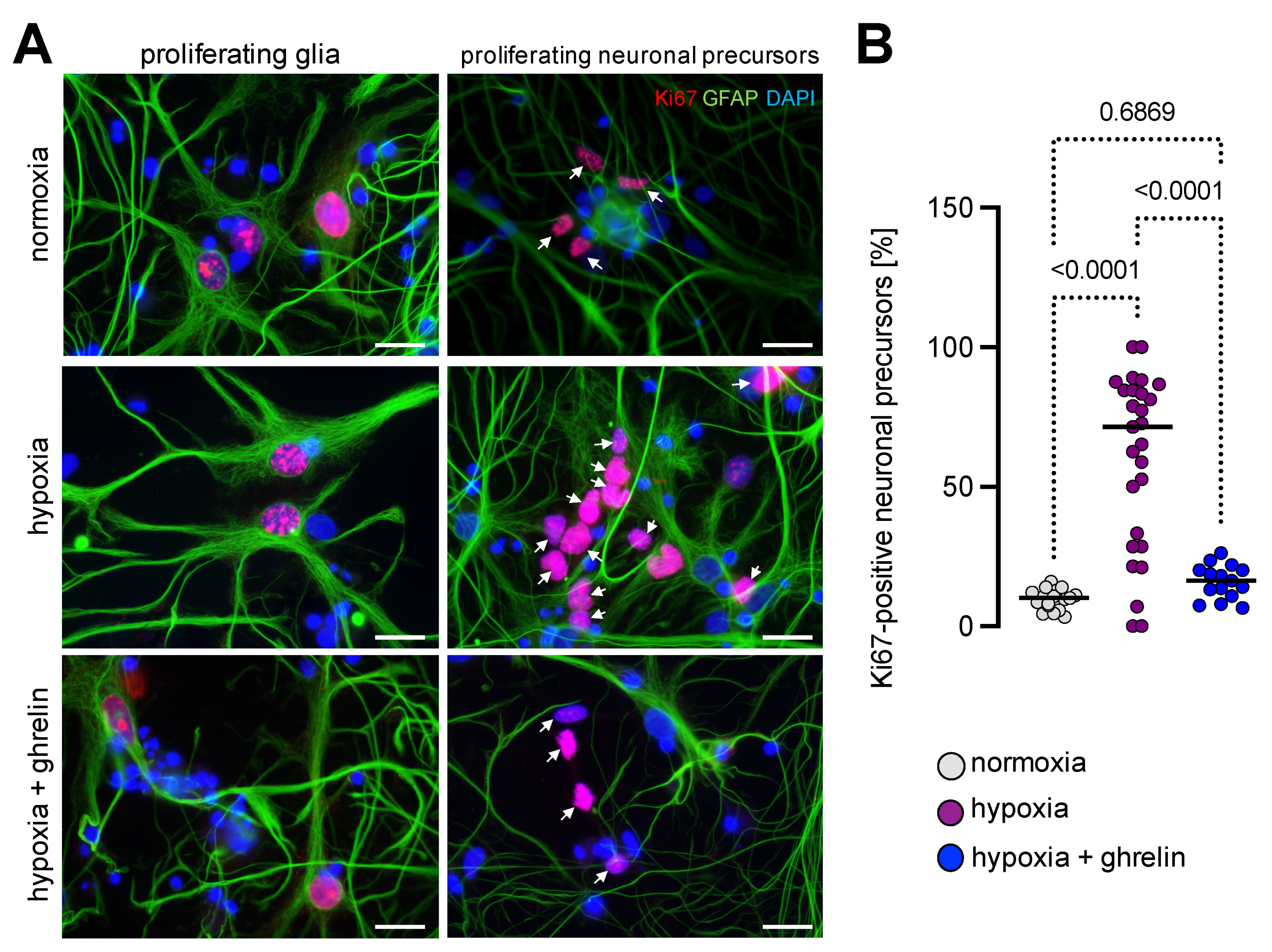 Cells 11 00782 g009 550