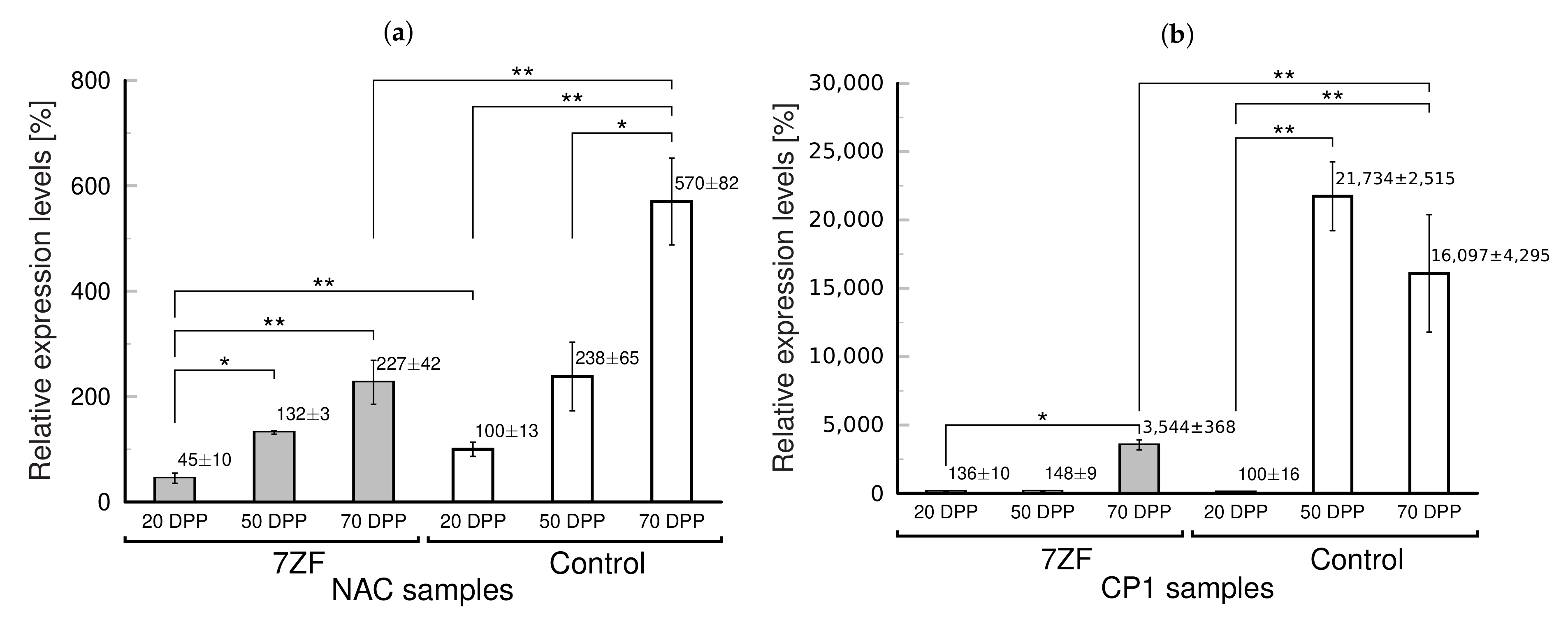 Cells 11 00784 g002 550