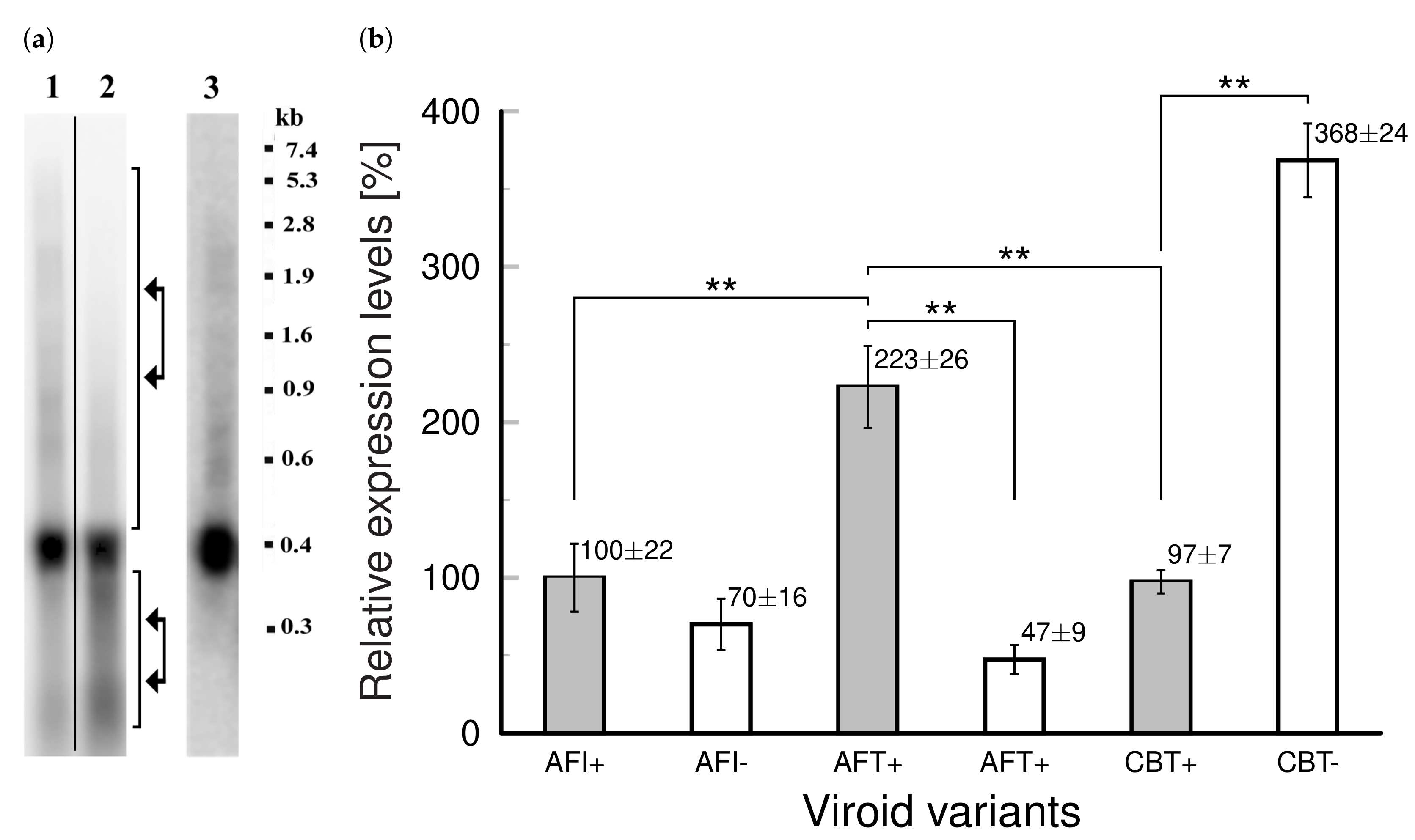 Cells 11 00784 g004 550