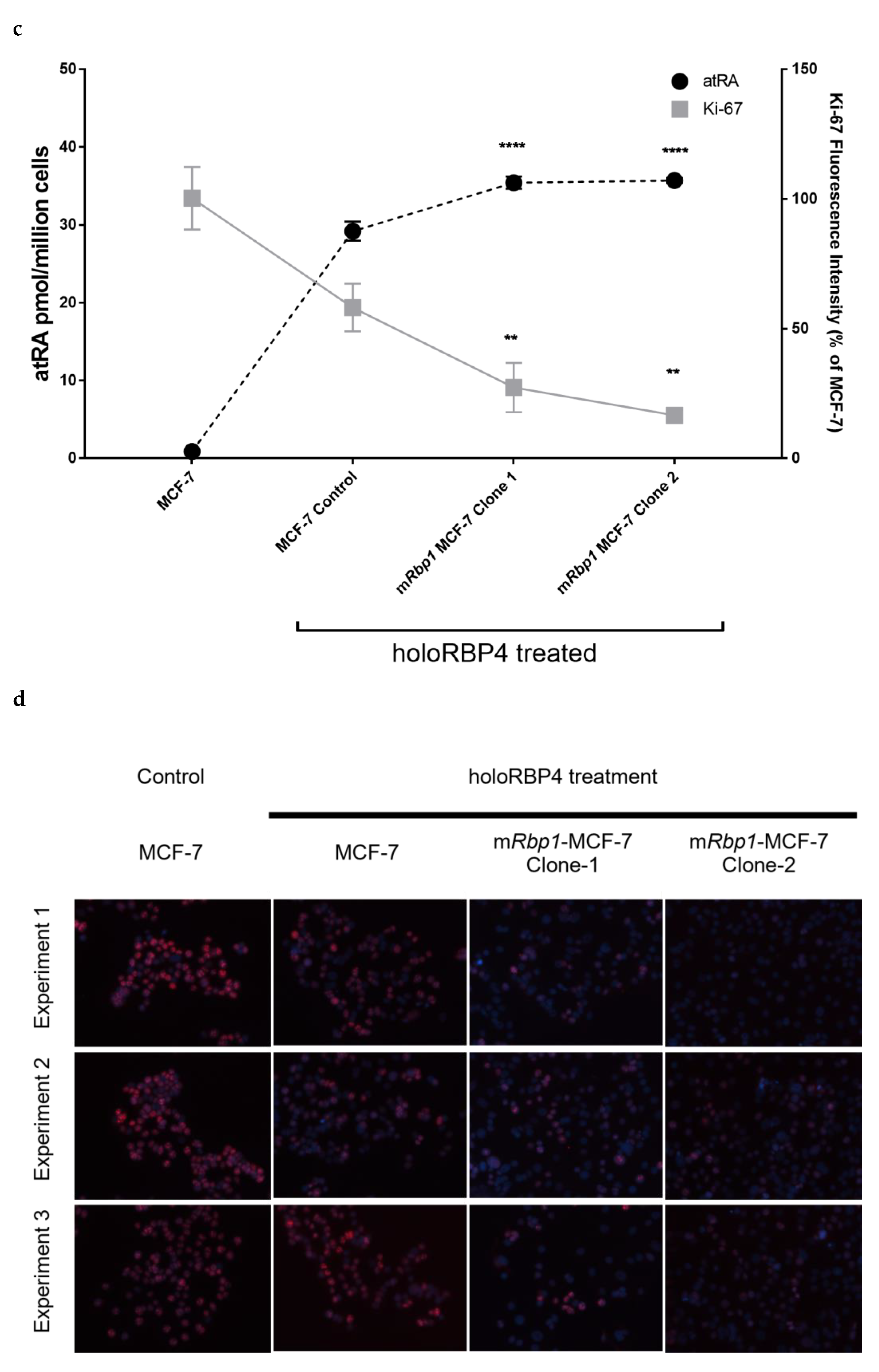 Cells 11 00792 g002b Cells 11 00792 g002b