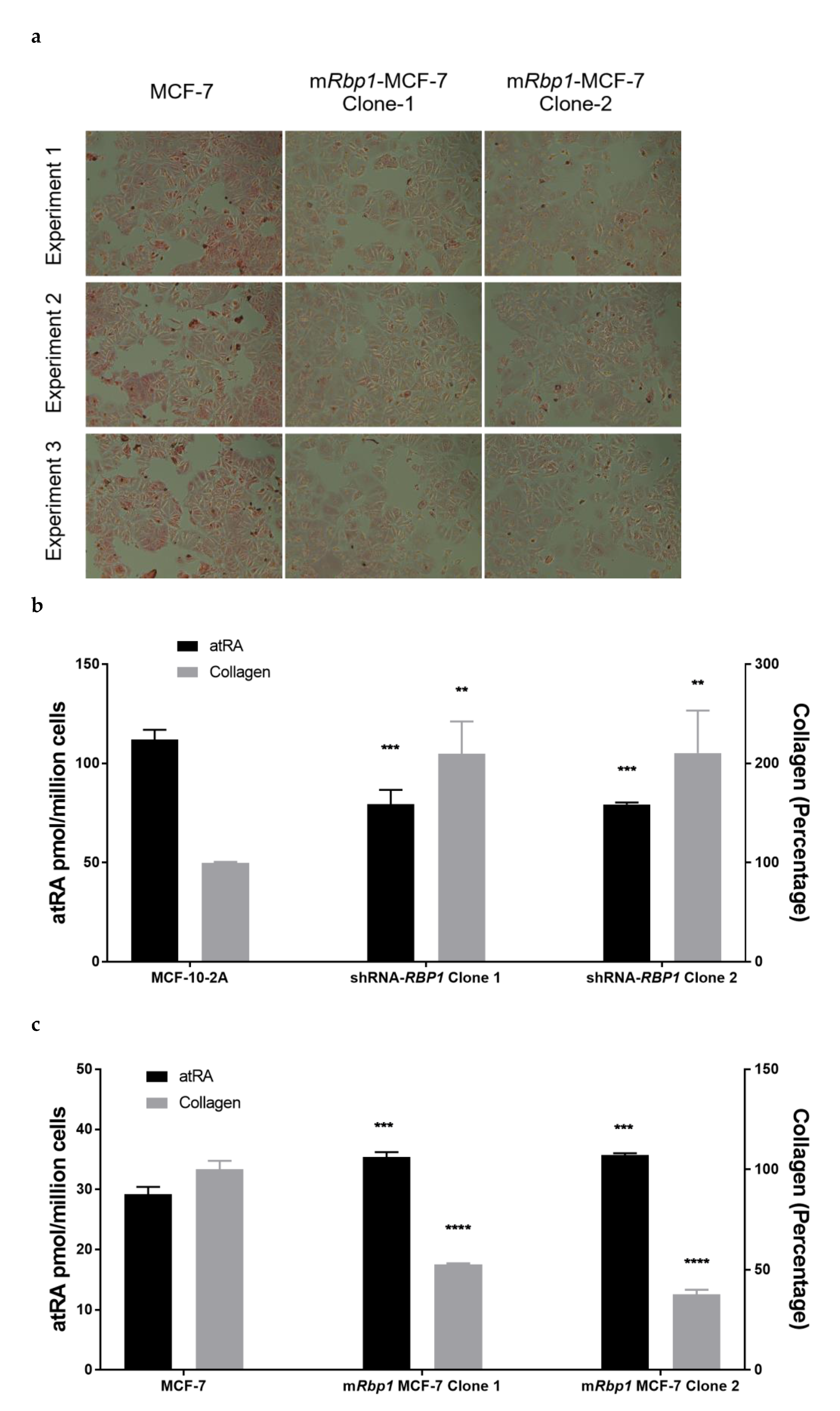 Cells 11 00792 g003a Cells 11 00792 g003a