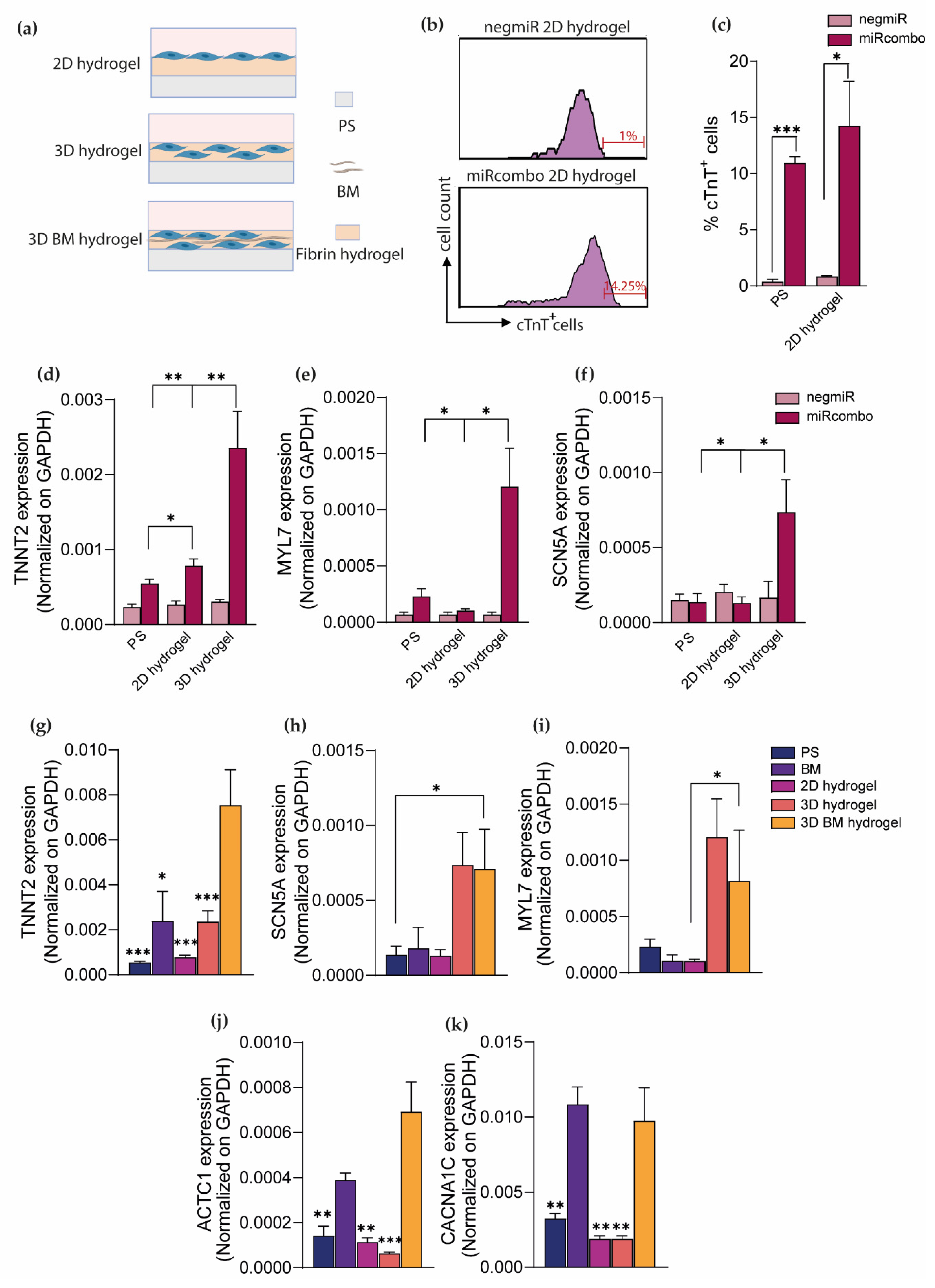Cells 11 00800 g004 550