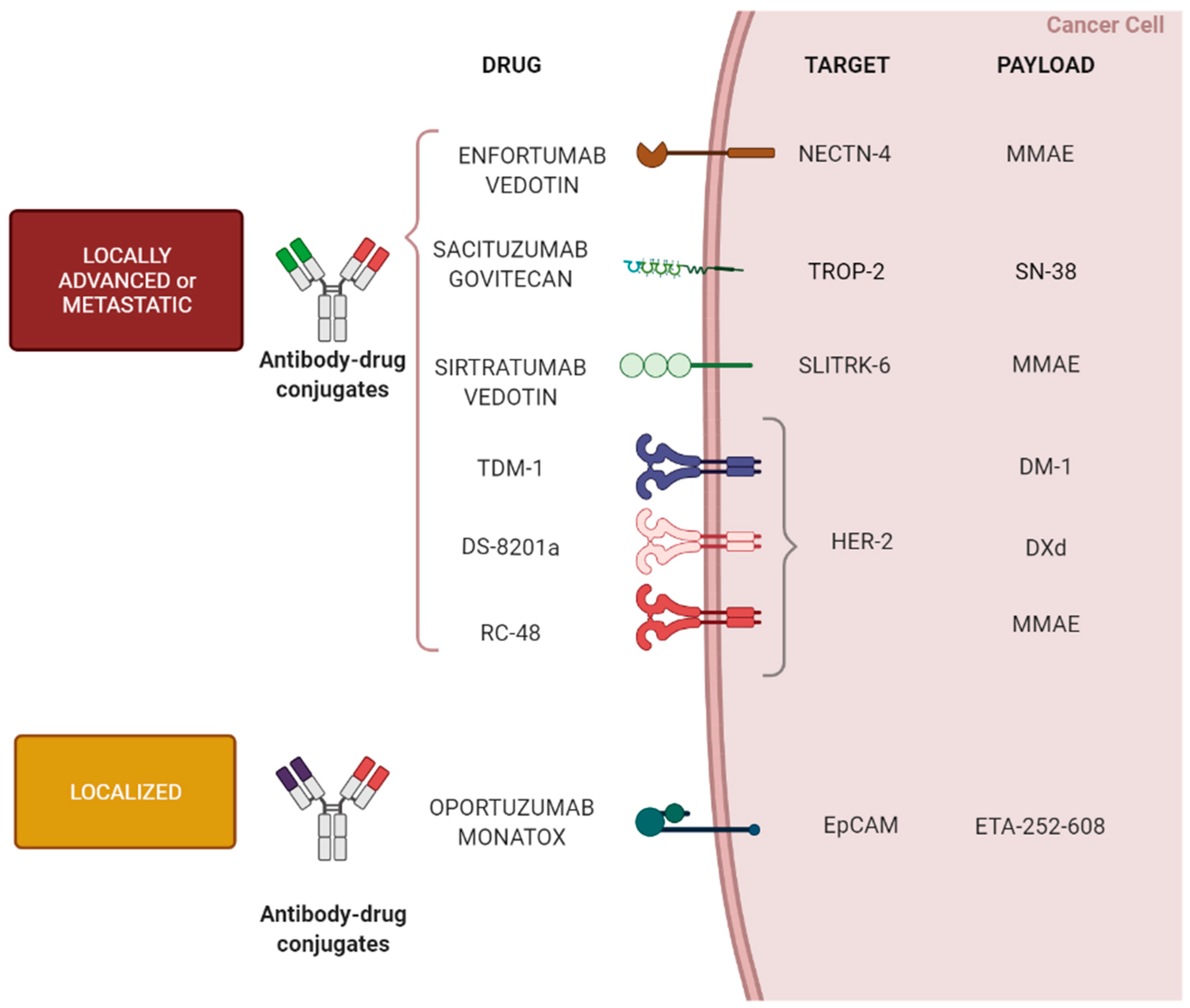 Cells 11 00803 g002 550