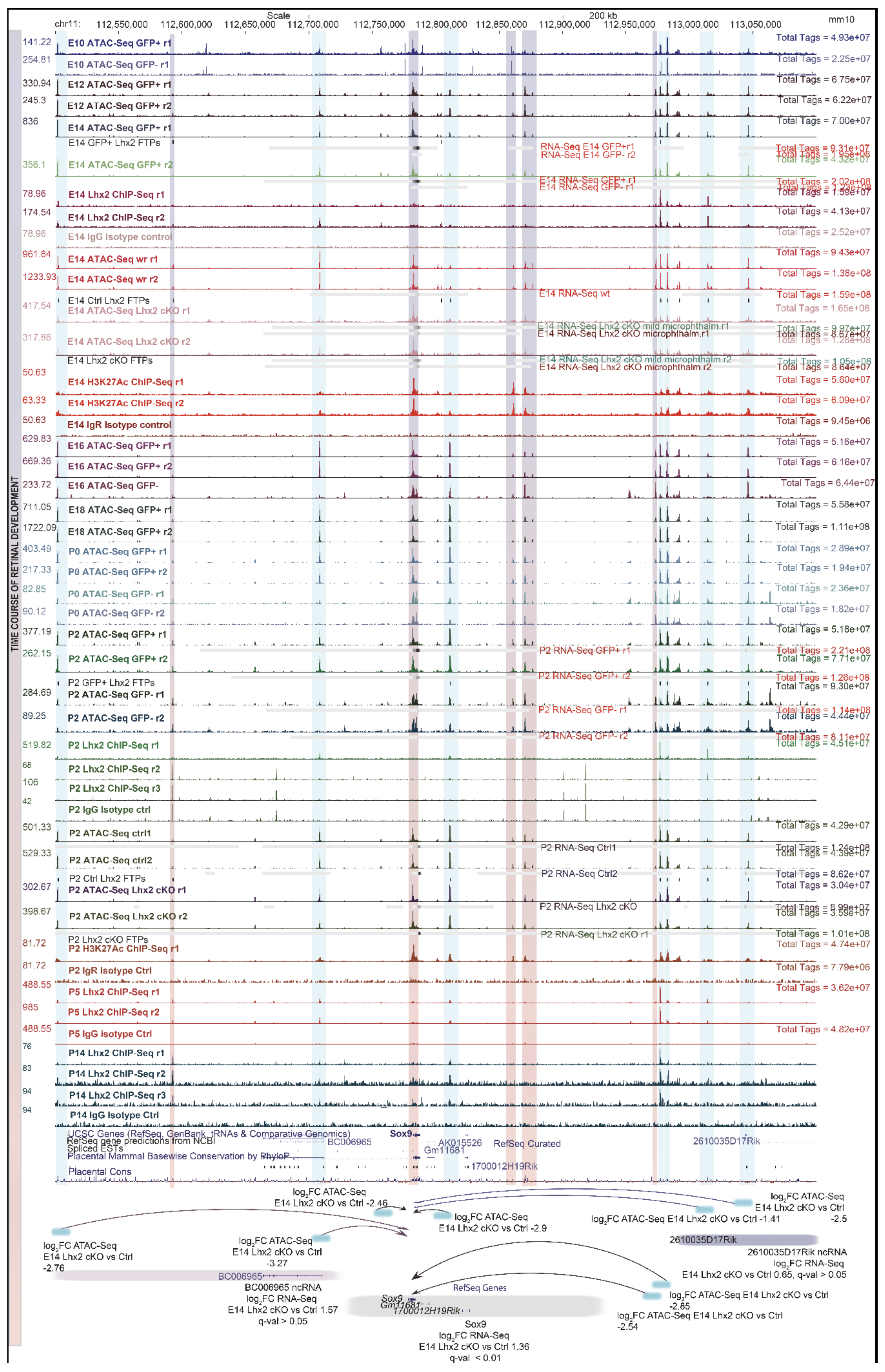 Cells 11 00806 g005 Cells 11 00806 g005