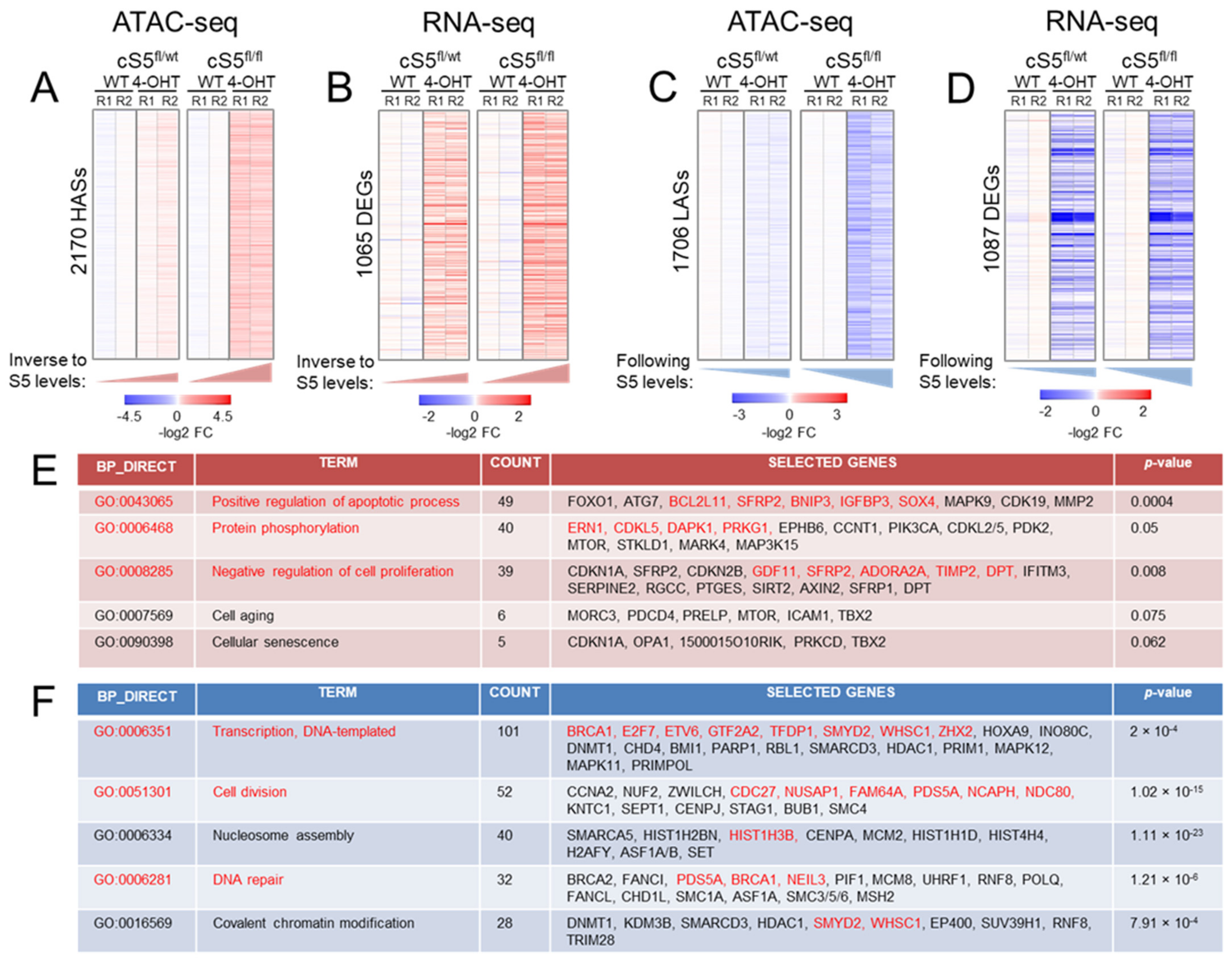 Cells 11 00808 g002 Cells 11 00808 g002