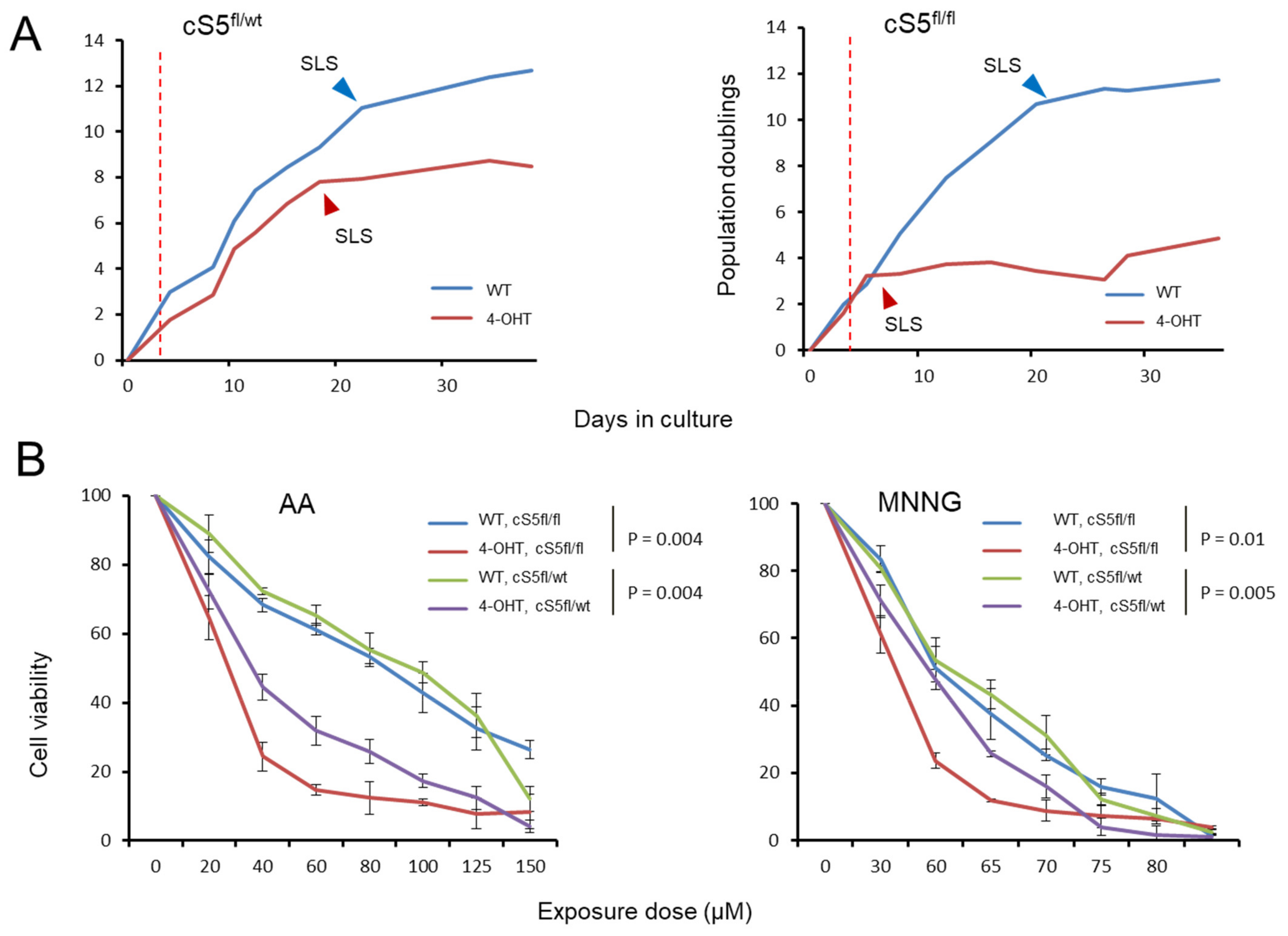 Cells 11 00808 g004 Cells 11 00808 g004