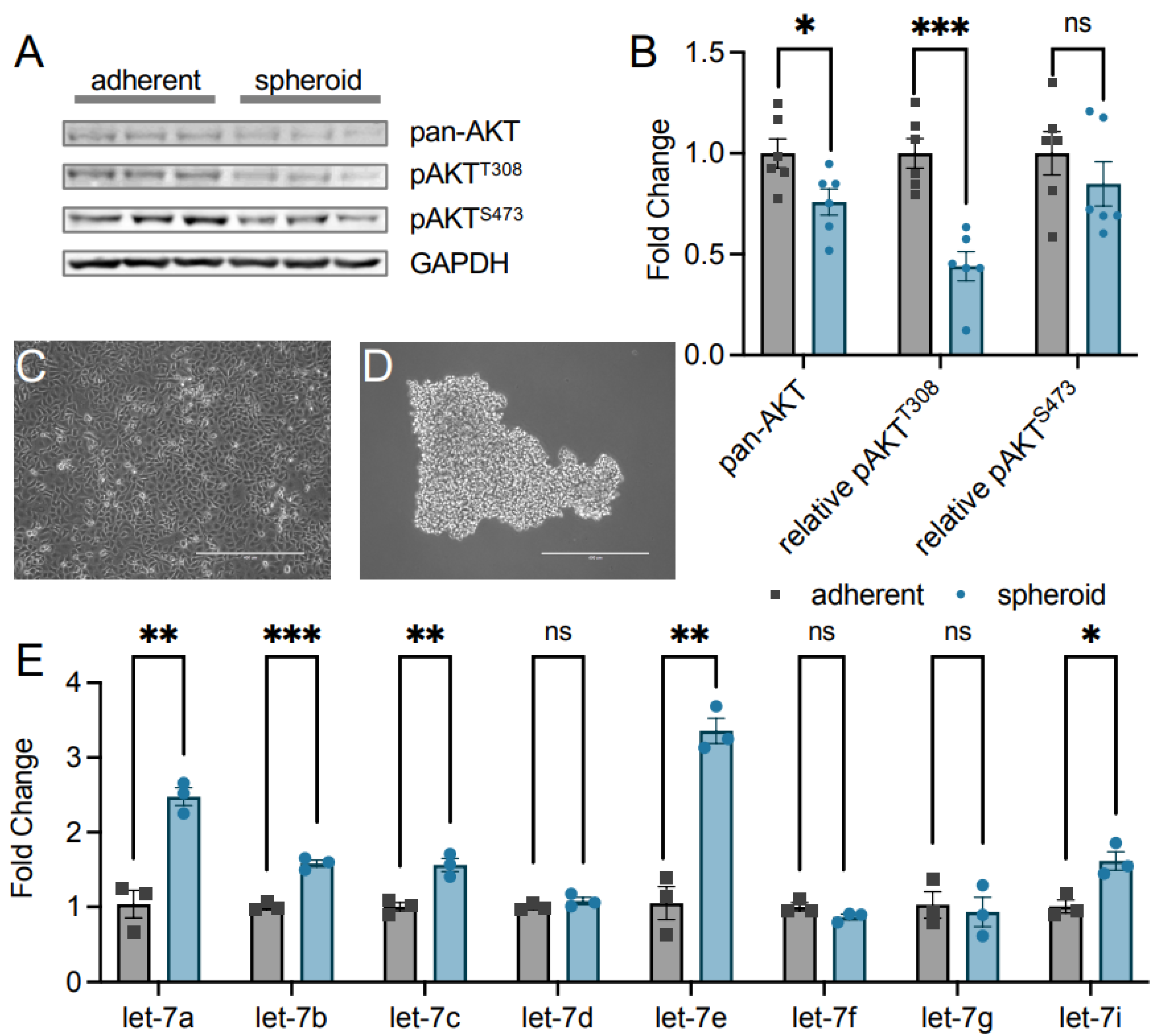 Cells 11 00821 g002 550