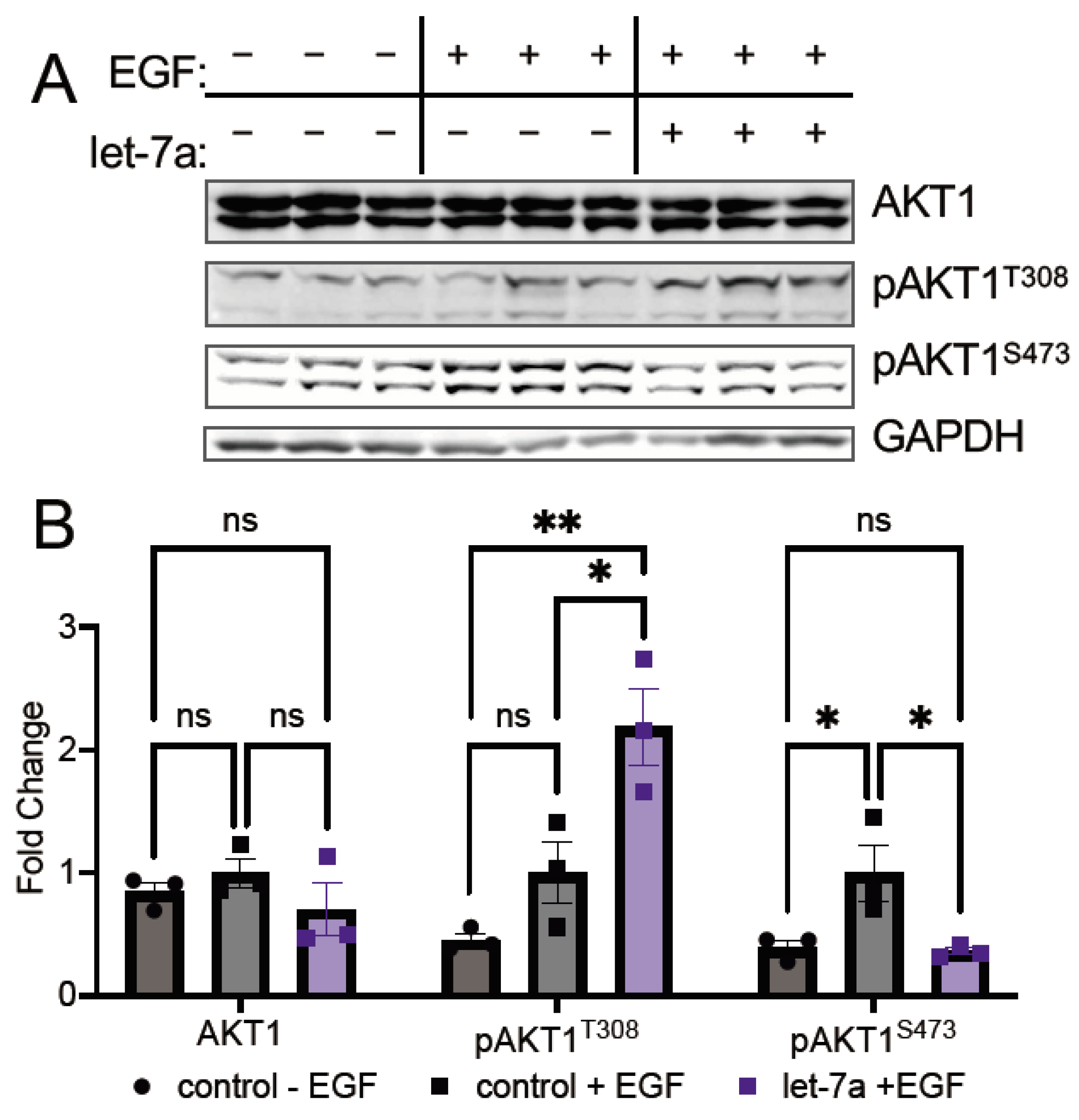Cells 11 00821 g004 550