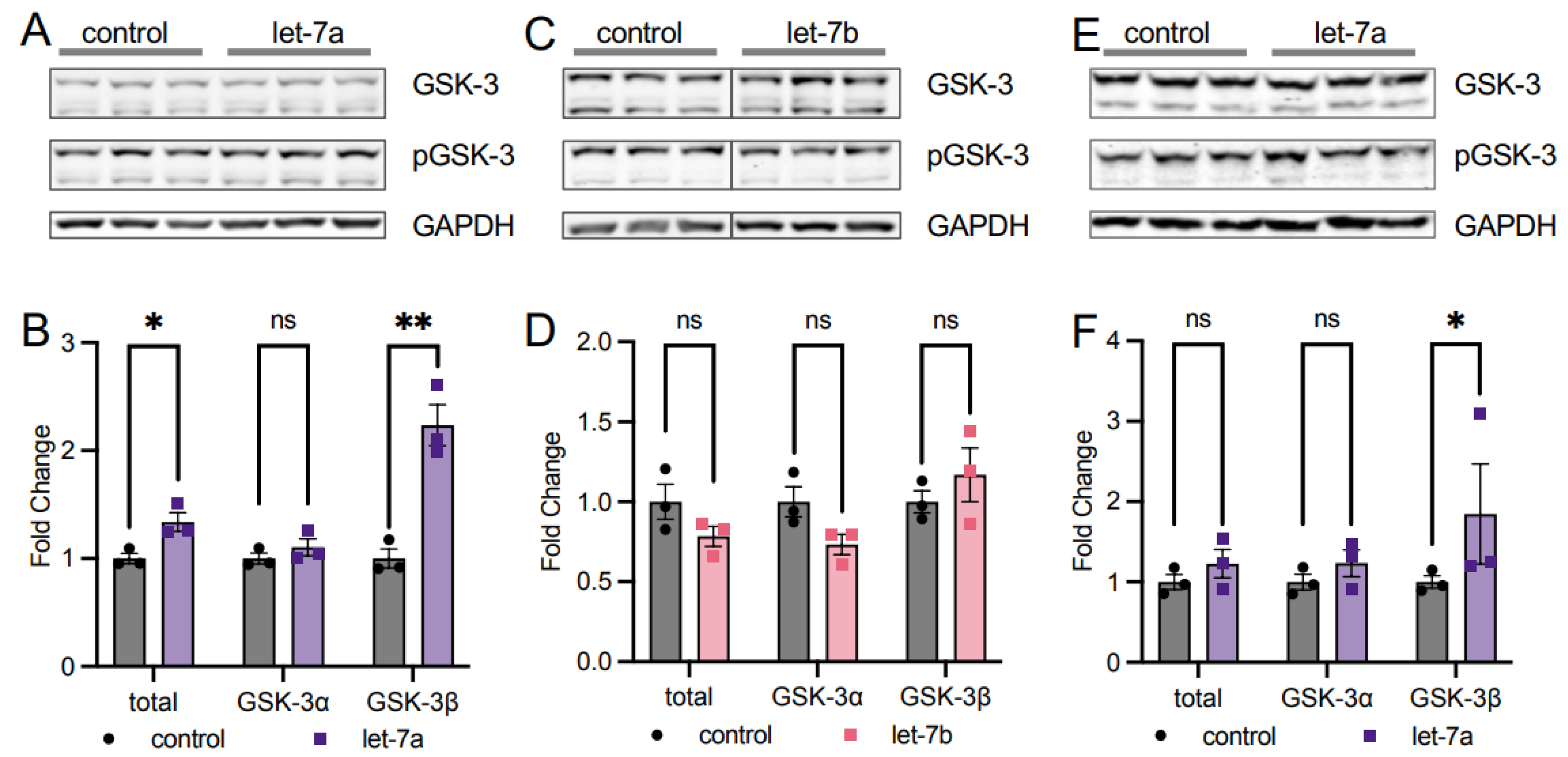 Cells 11 00821 g005 550