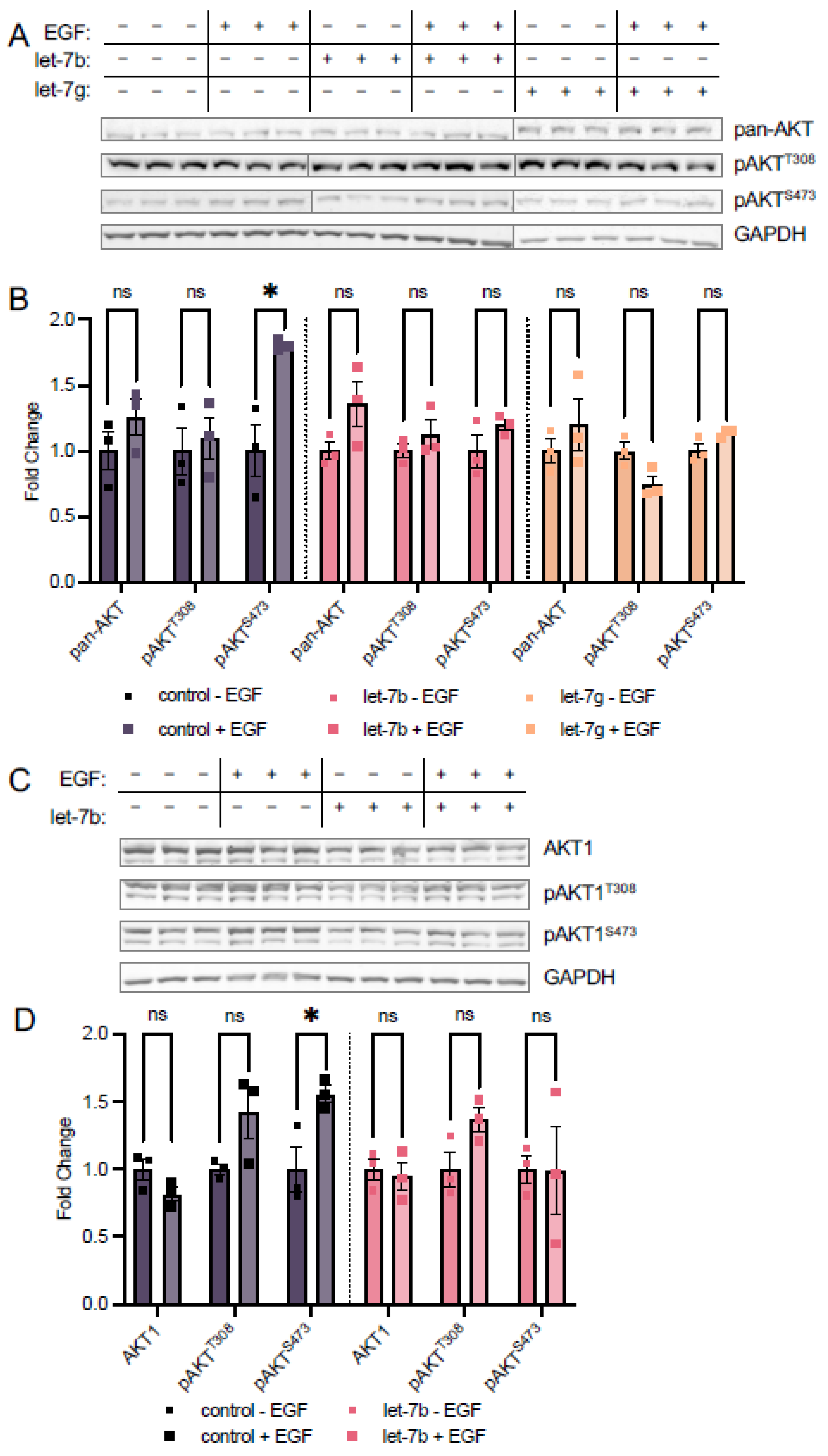 Cells 11 00821 g006 550
