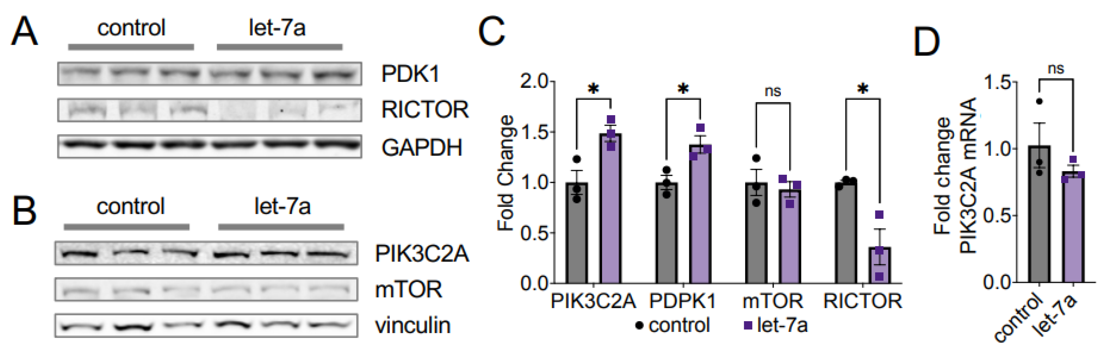 Cells 11 00821 g007 550