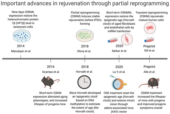 Synergistic Anti-Ageing through Senescent Cells Specific Reprogramming