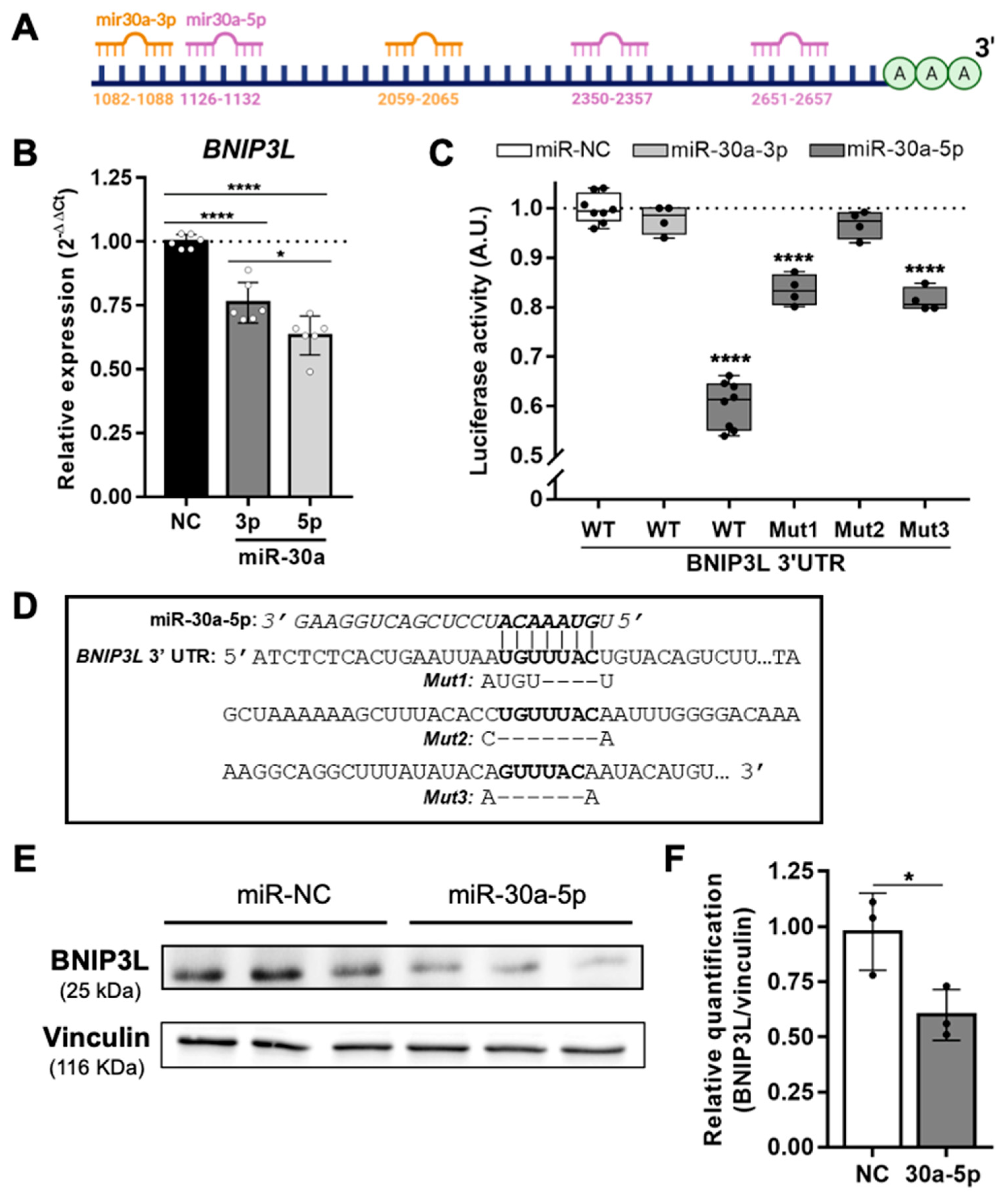 Cells 11 00836 g001 Cells 11 00836 g001