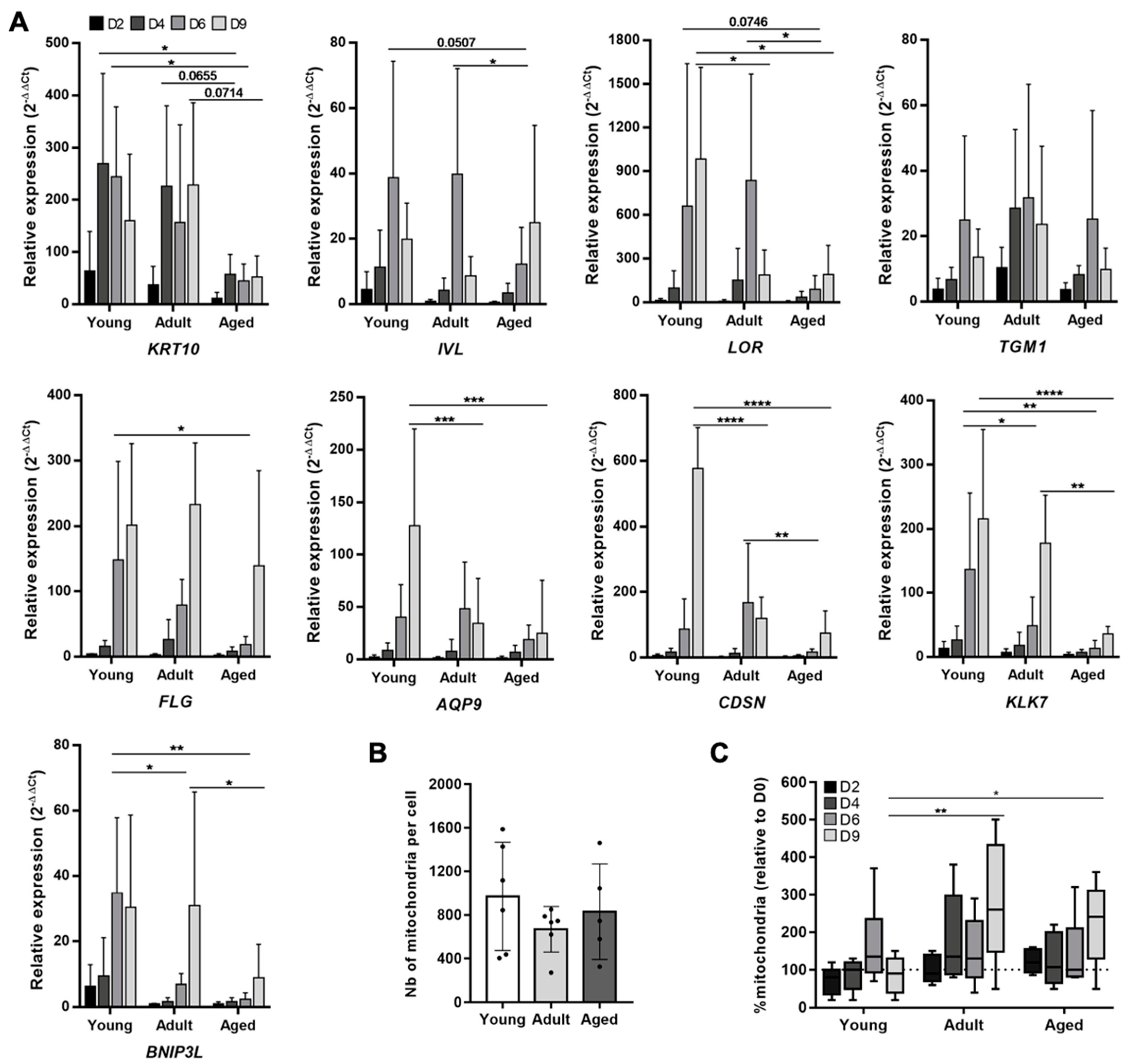 Cells 11 00836 g004 Cells 11 00836 g004