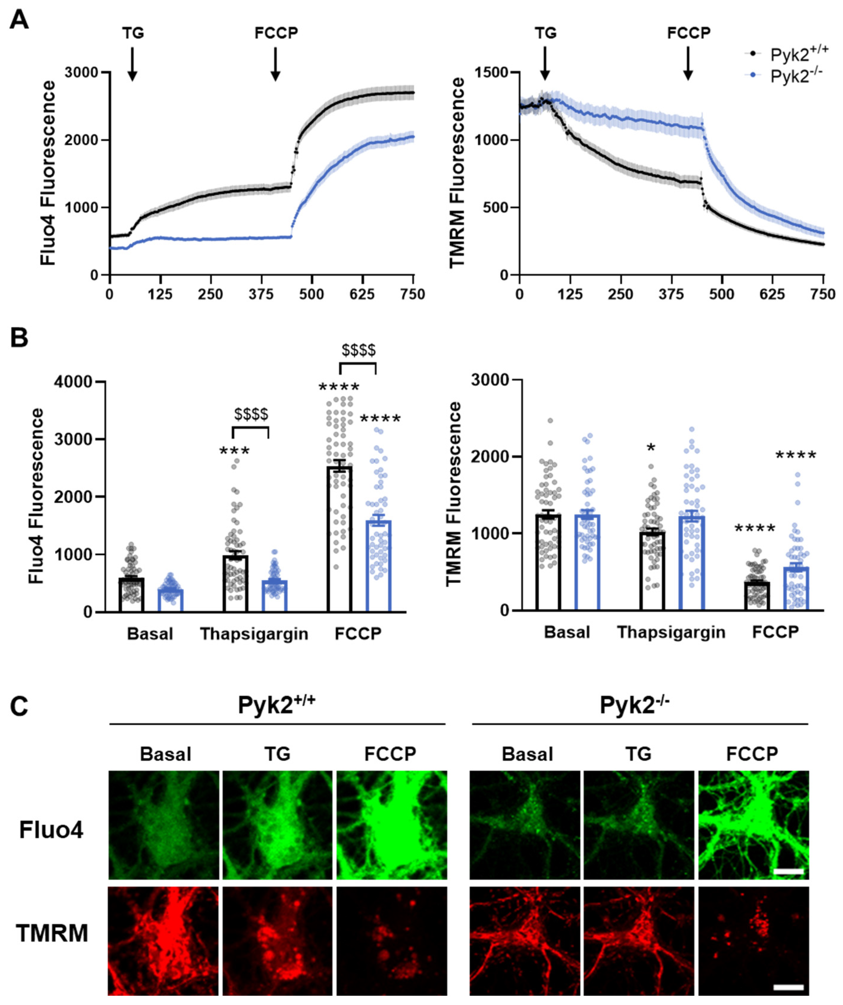 Cells 11 00842 g004 Cells 11 00842 g004