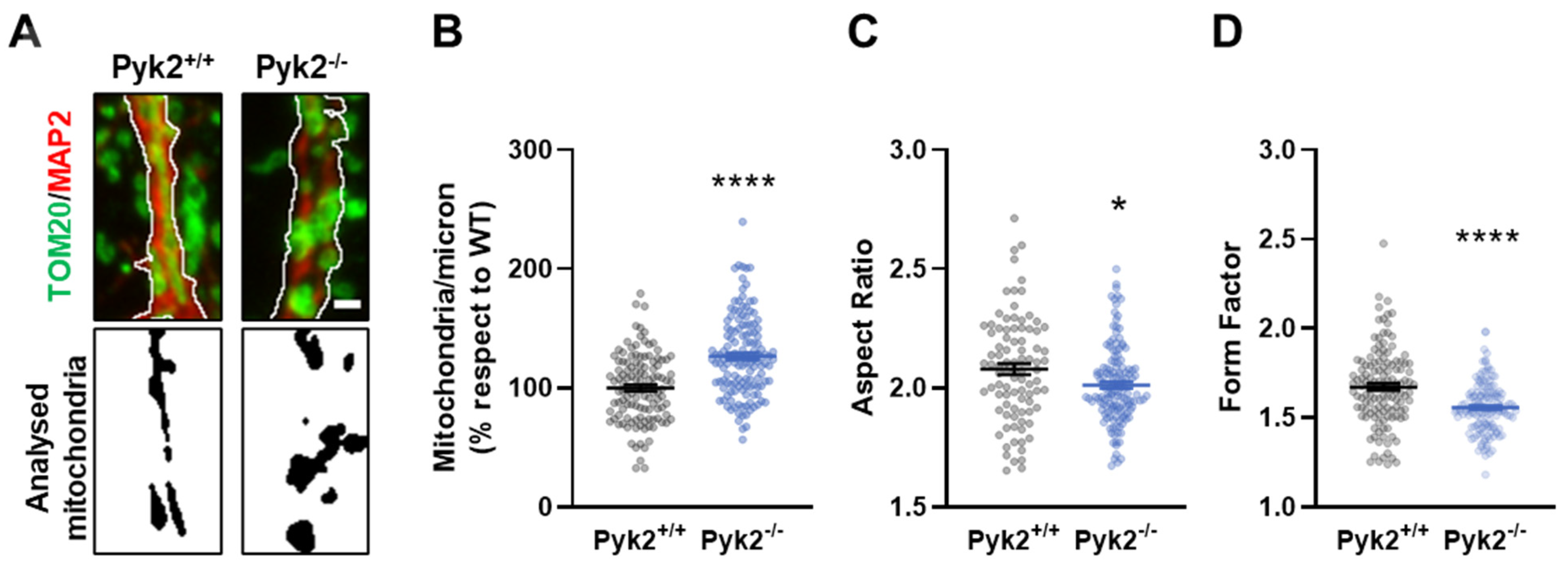 Cells 11 00842 g006 Cells 11 00842 g006