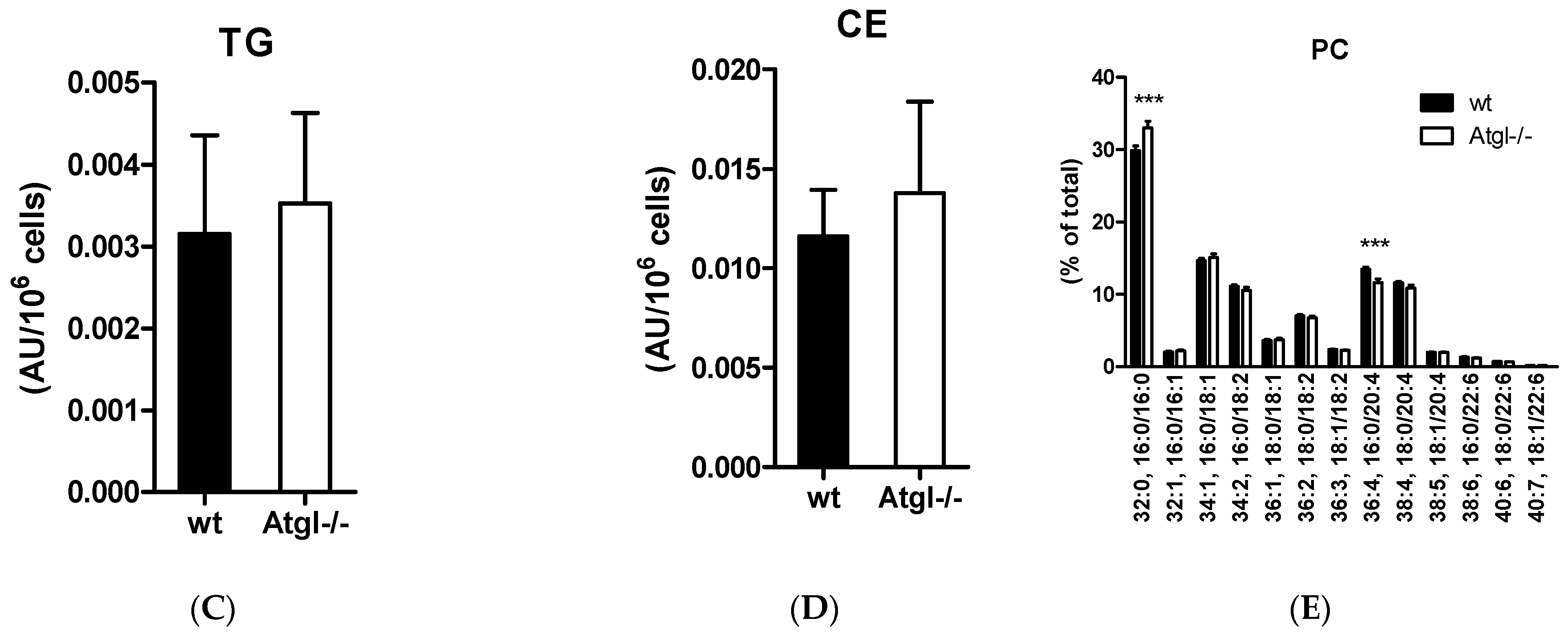 Cells 11 00850 g002b 550