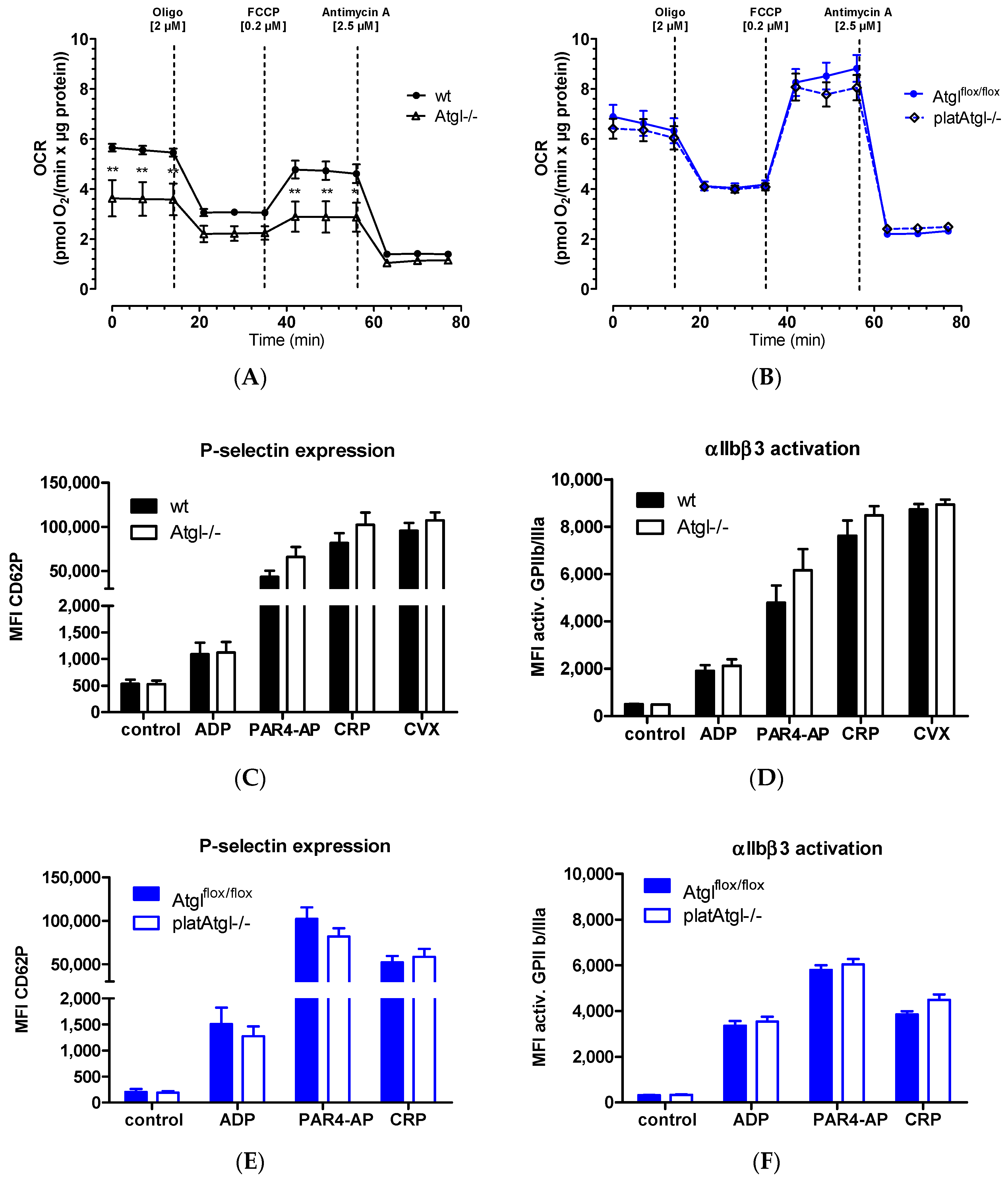 Cells 11 00850 g003 550