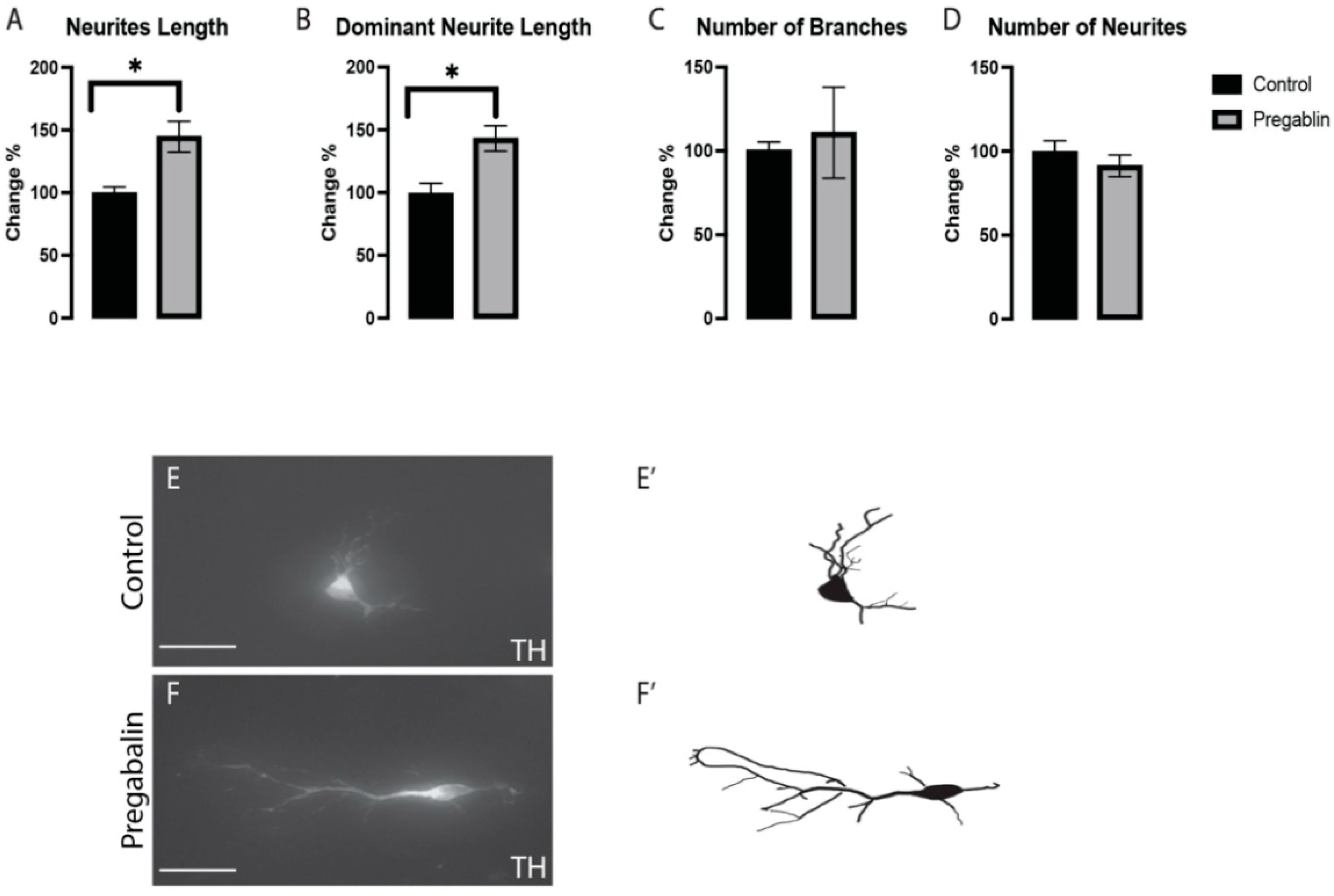 Cells 11 00852 g003 Cells 11 00852 g003