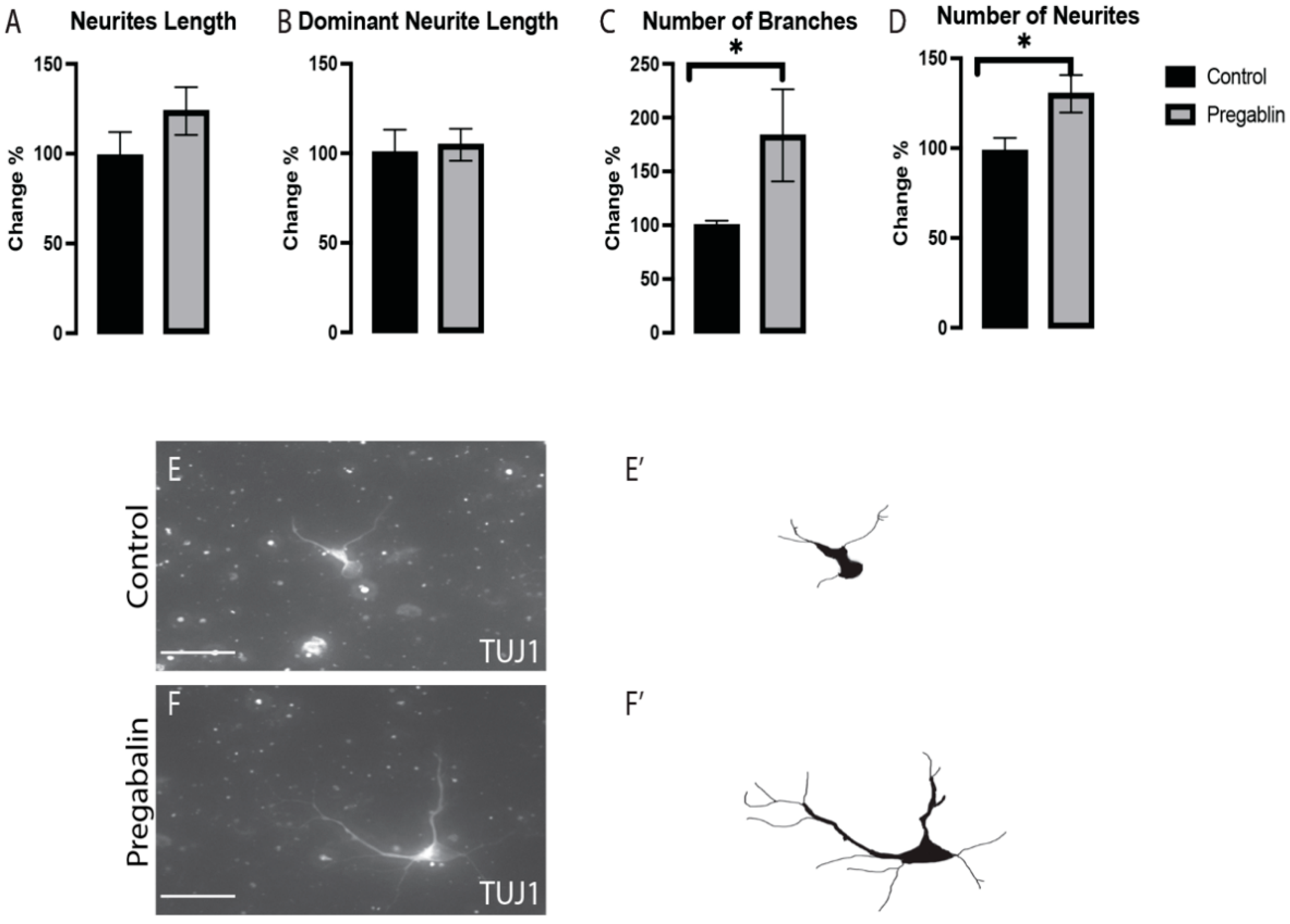 Cells 11 00852 g004 Cells 11 00852 g004