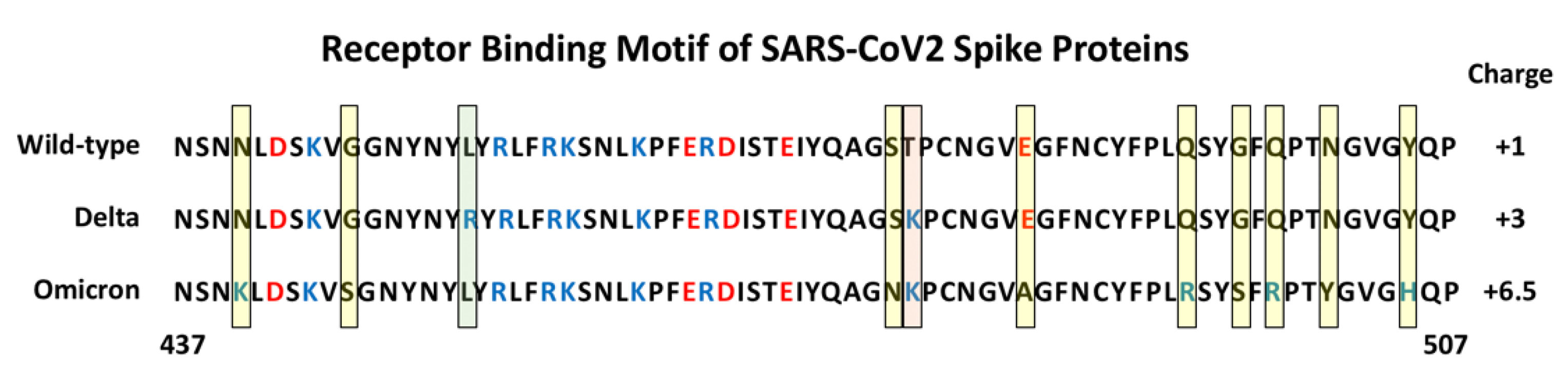 Cells 11 00855 g003 Cells 11 00855 g003