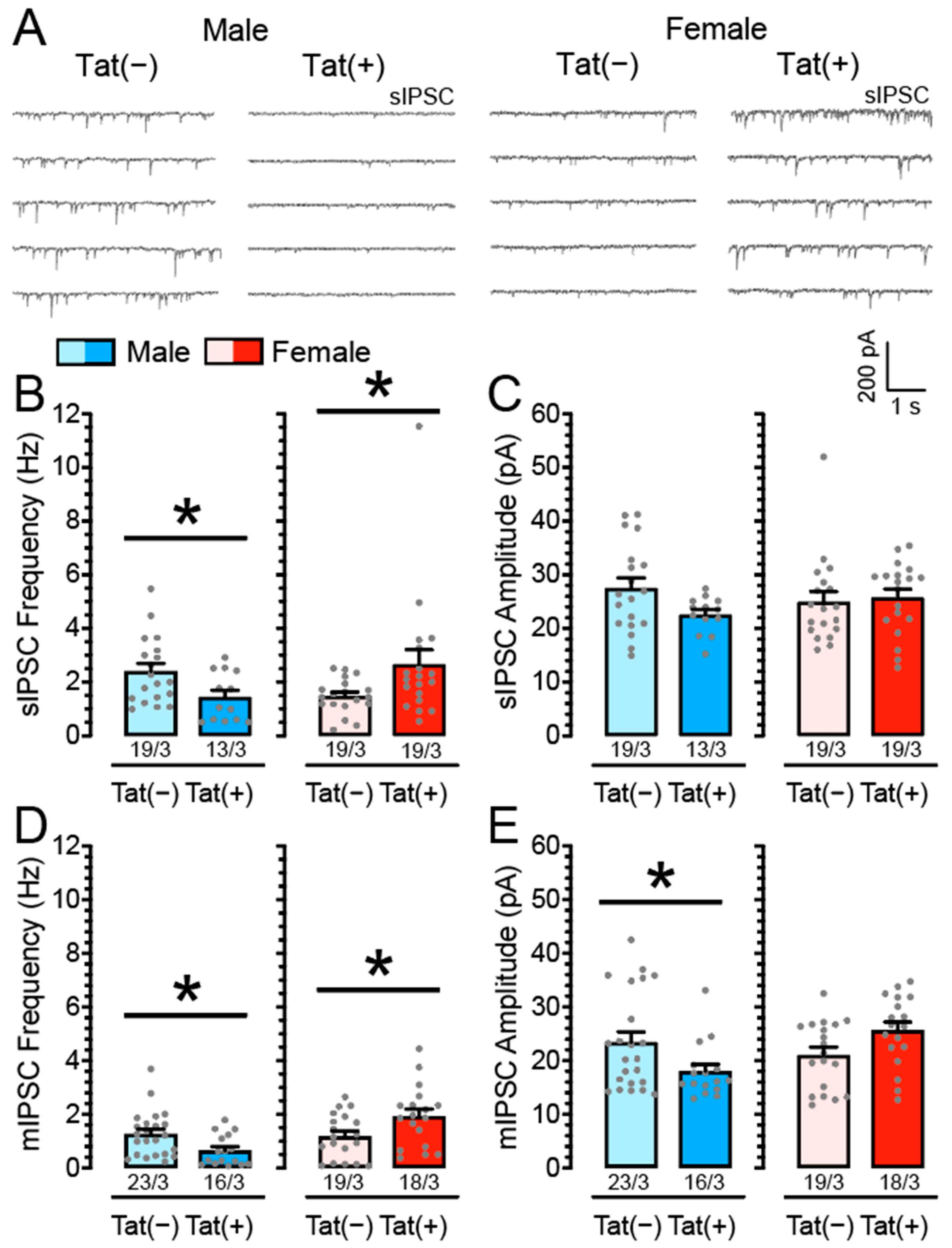 Cells 11 00857 g001 Cells 11 00857 g001