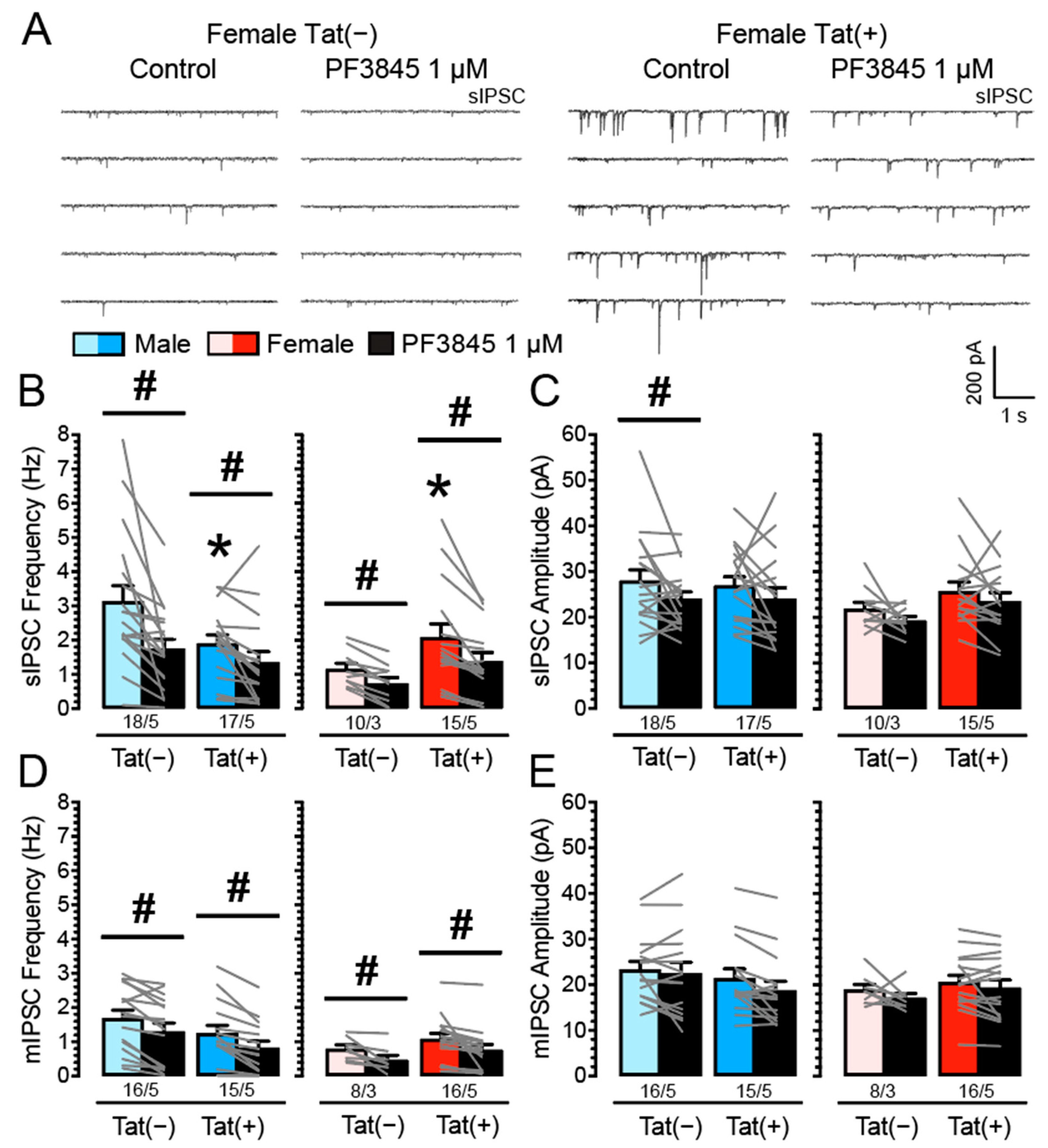 Cells 11 00857 g002 Cells 11 00857 g002