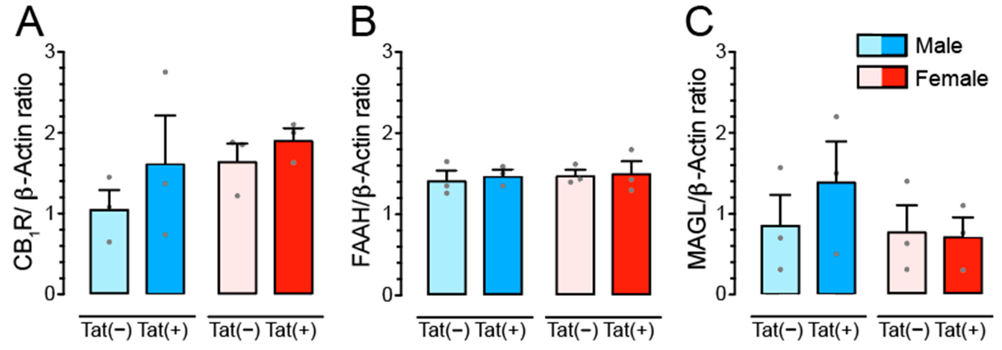 Cells 11 00857 g005 Cells 11 00857 g005