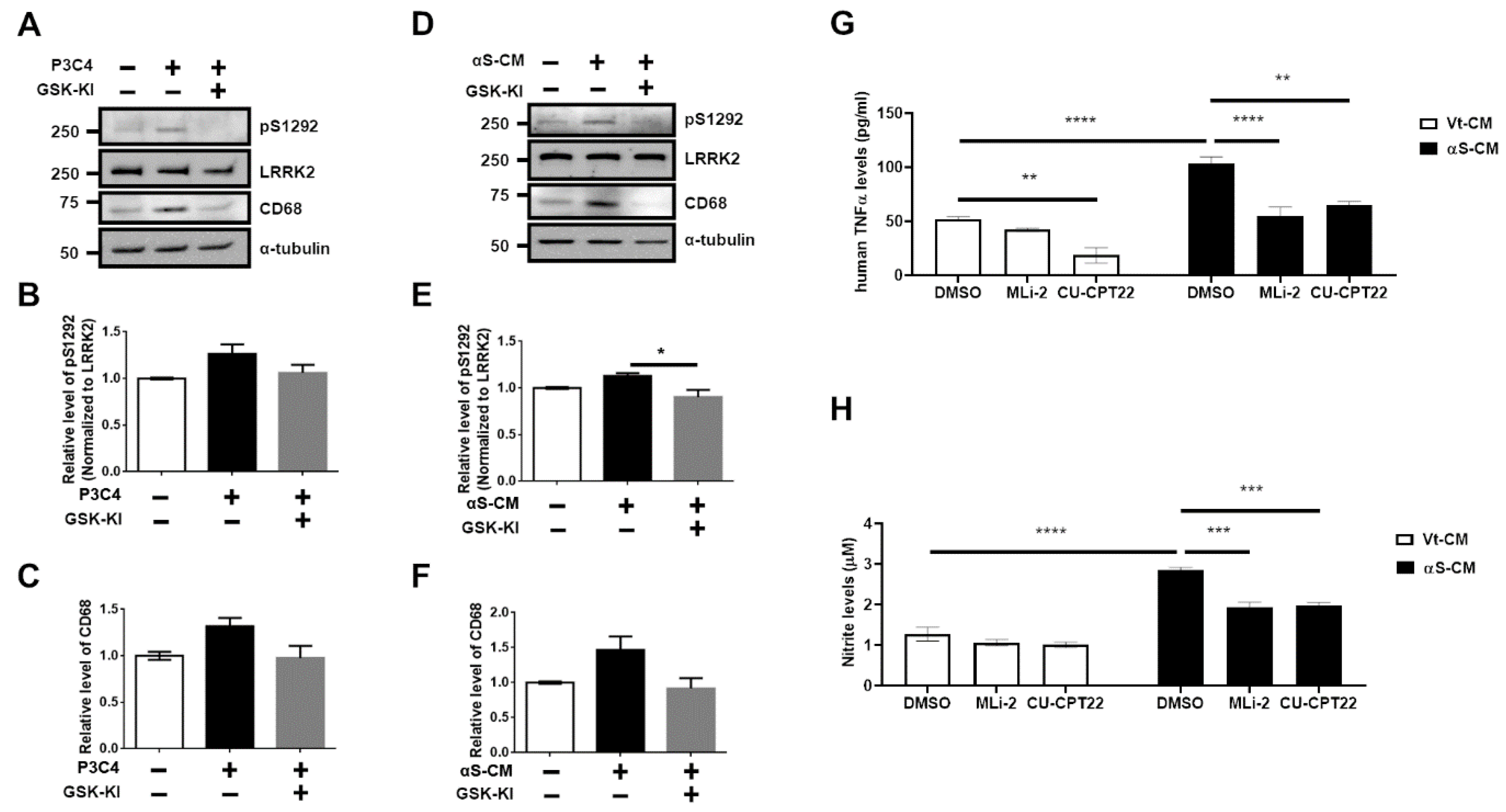 Cells 11 00861 g004