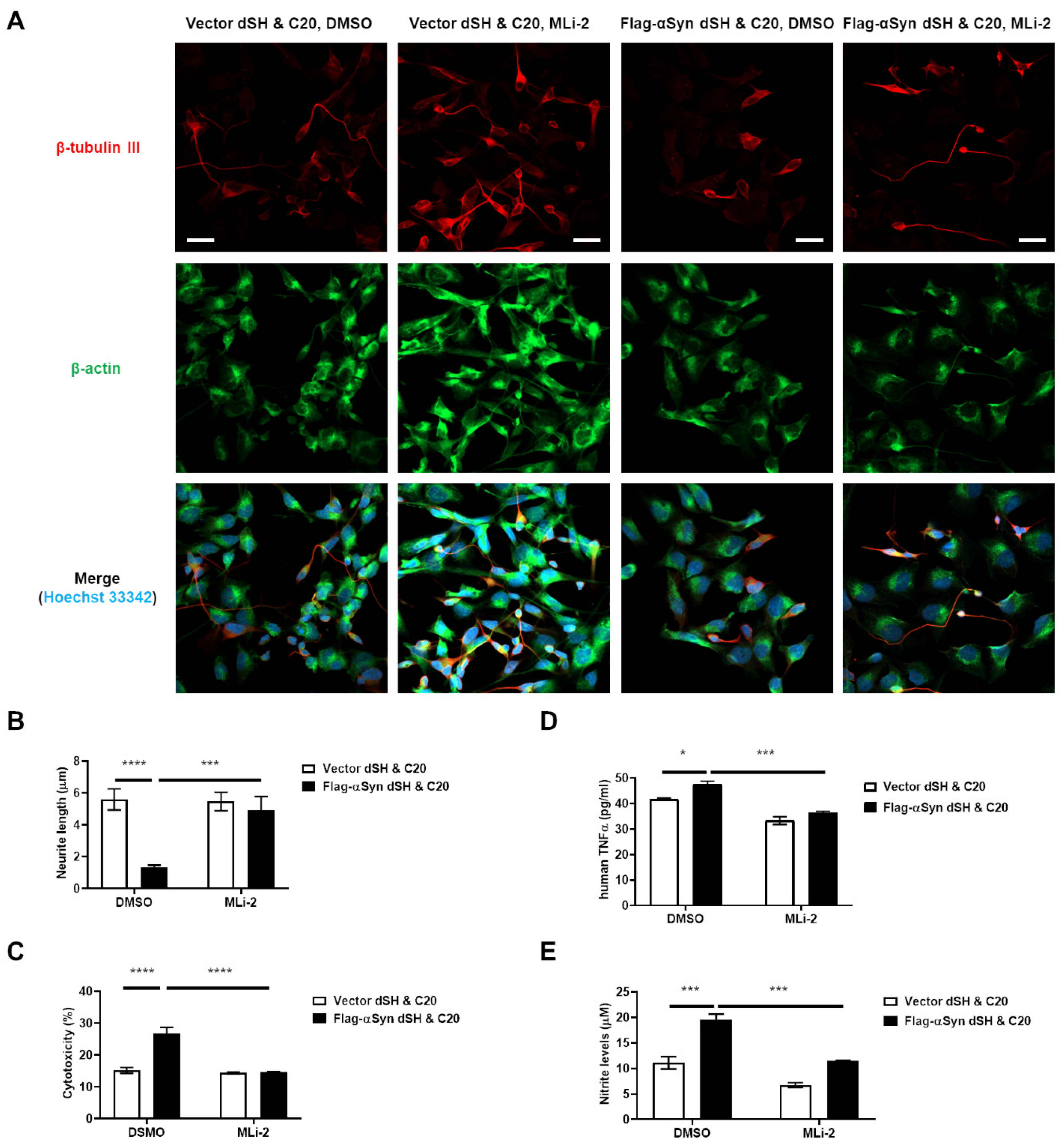Cells 11 00861 g005