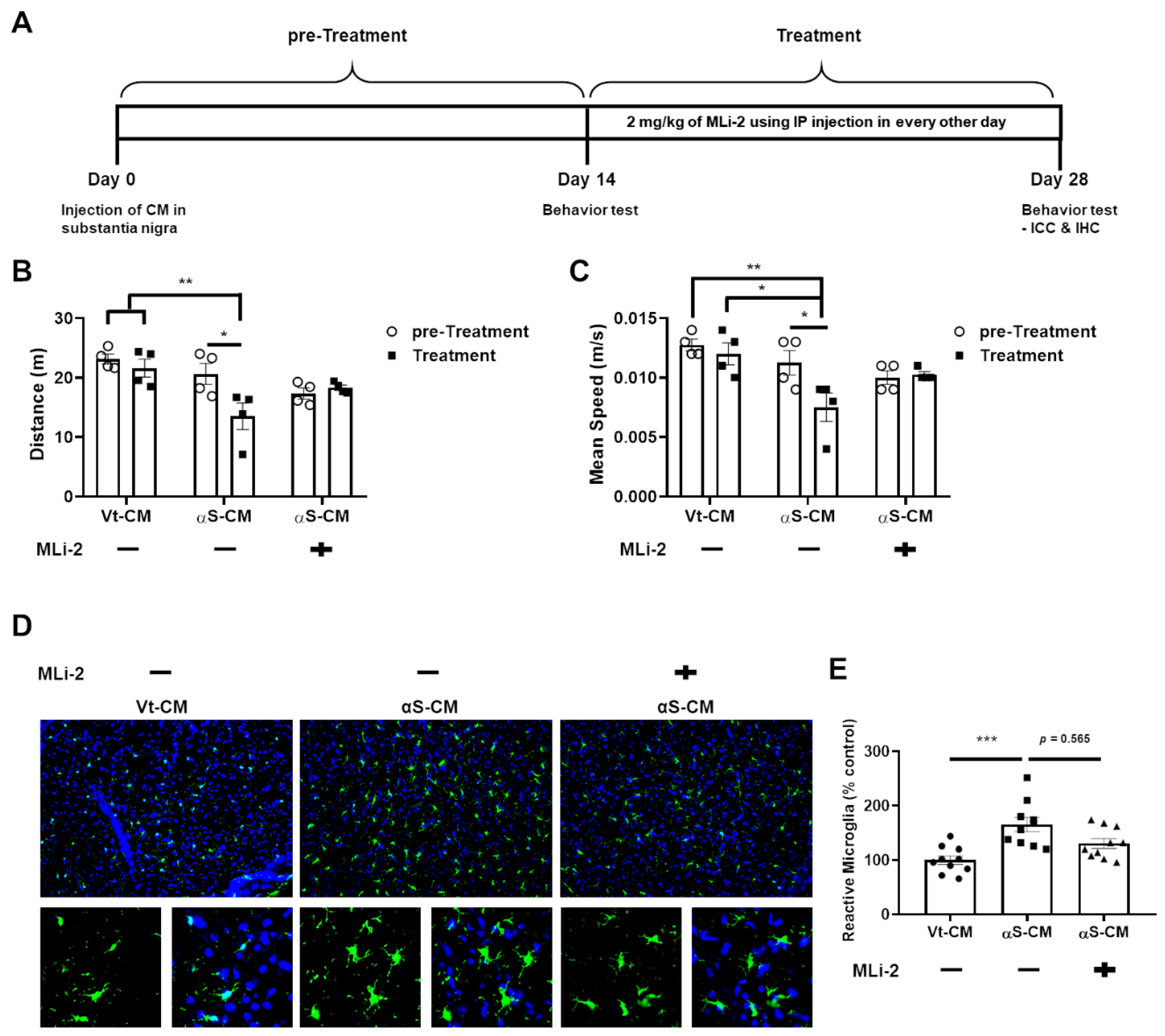 Cells 11 00861 g006