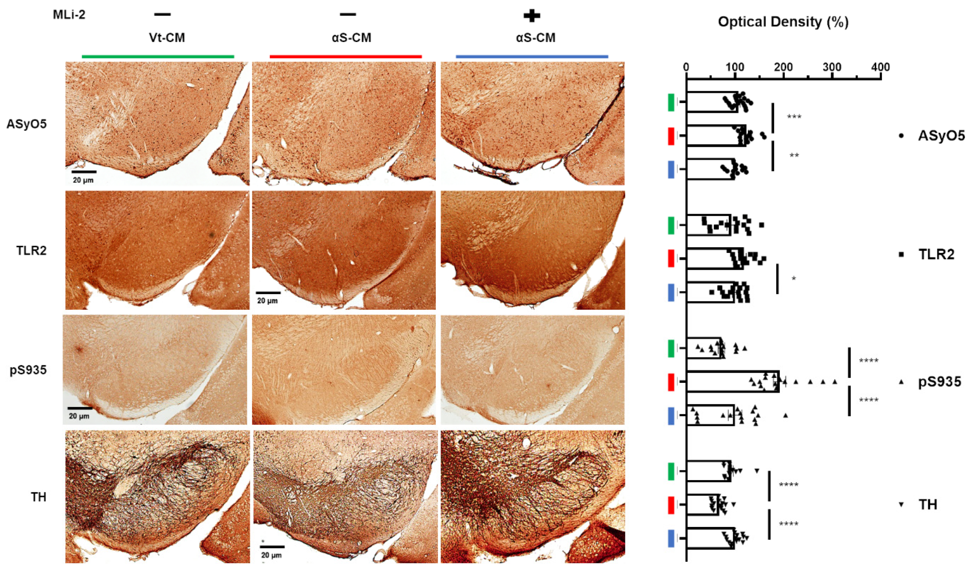Cells 11 00861 g007