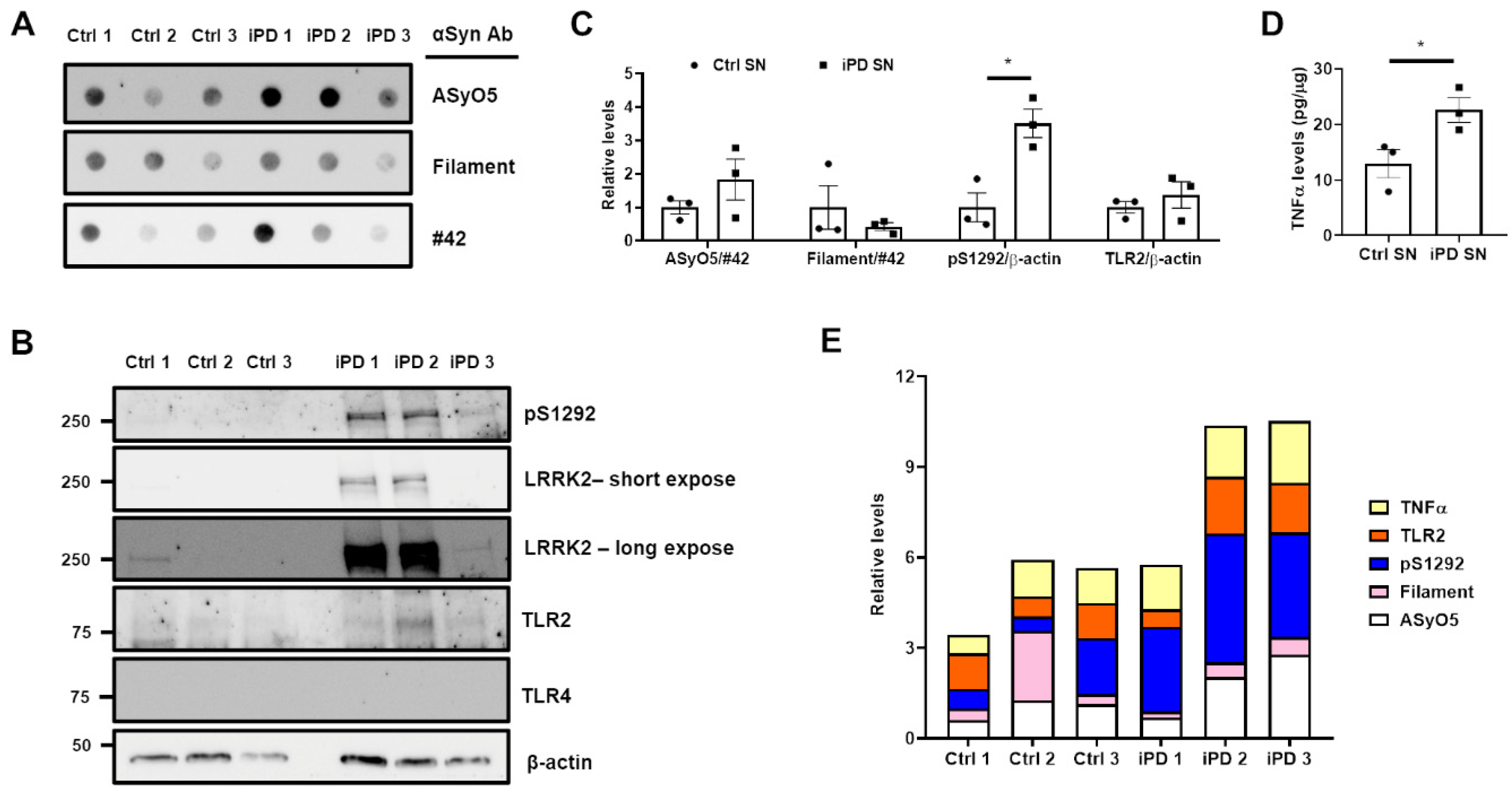 Cells 11 00861 g008