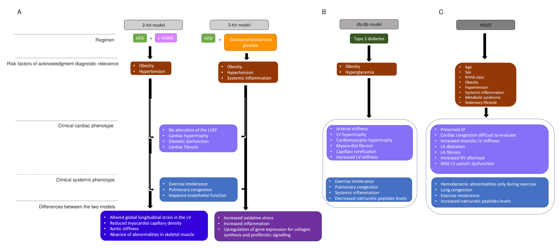 Cells 11 00867 g002 Cells 11 00867 g002