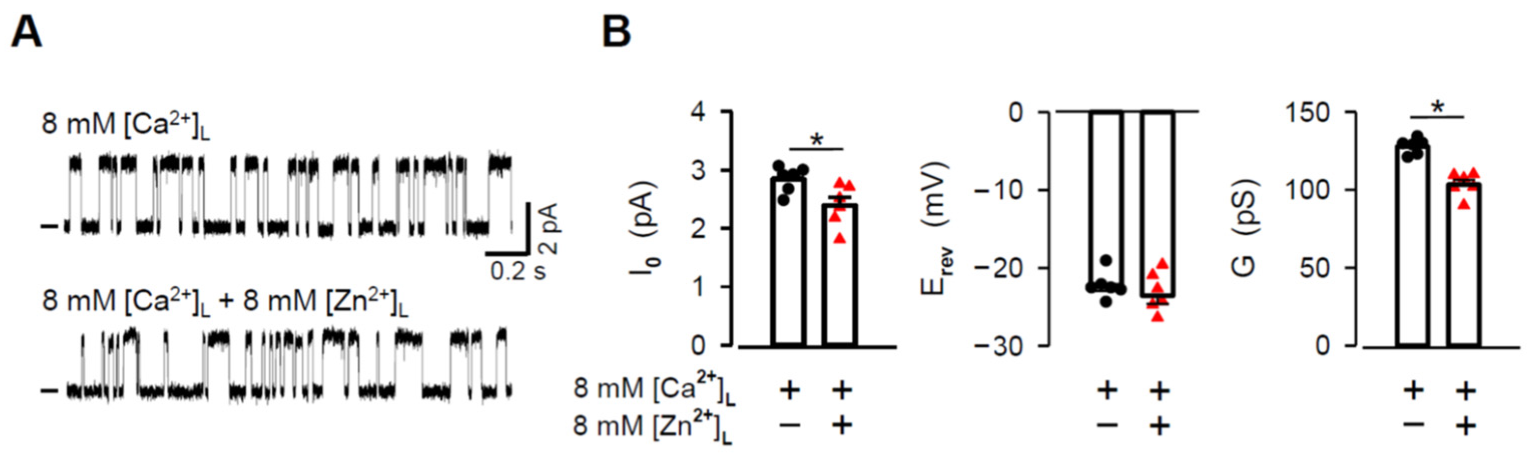 Cells 11 00868 g005 Cells 11 00868 g005