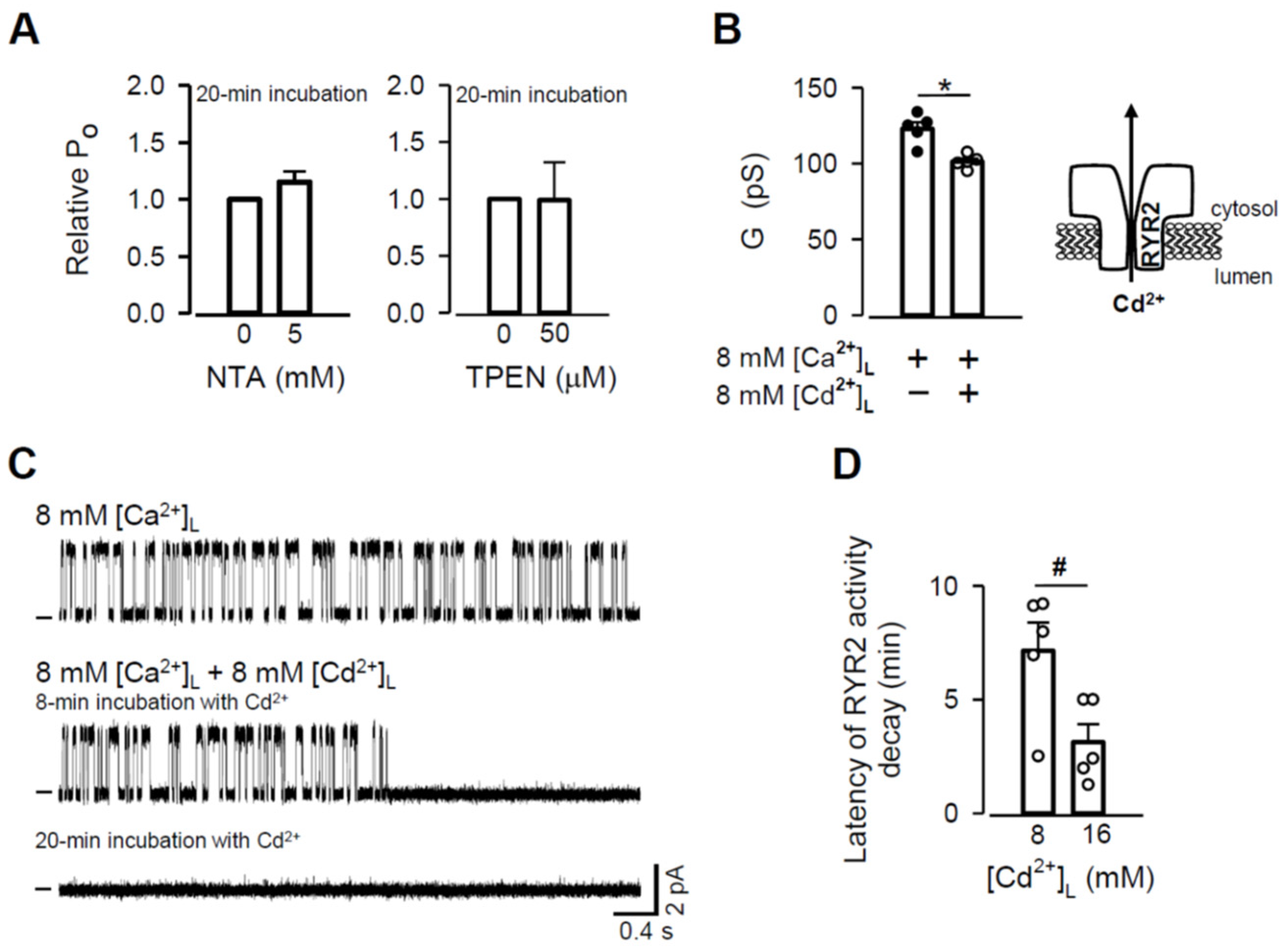 Cells 11 00868 g007 Cells 11 00868 g007