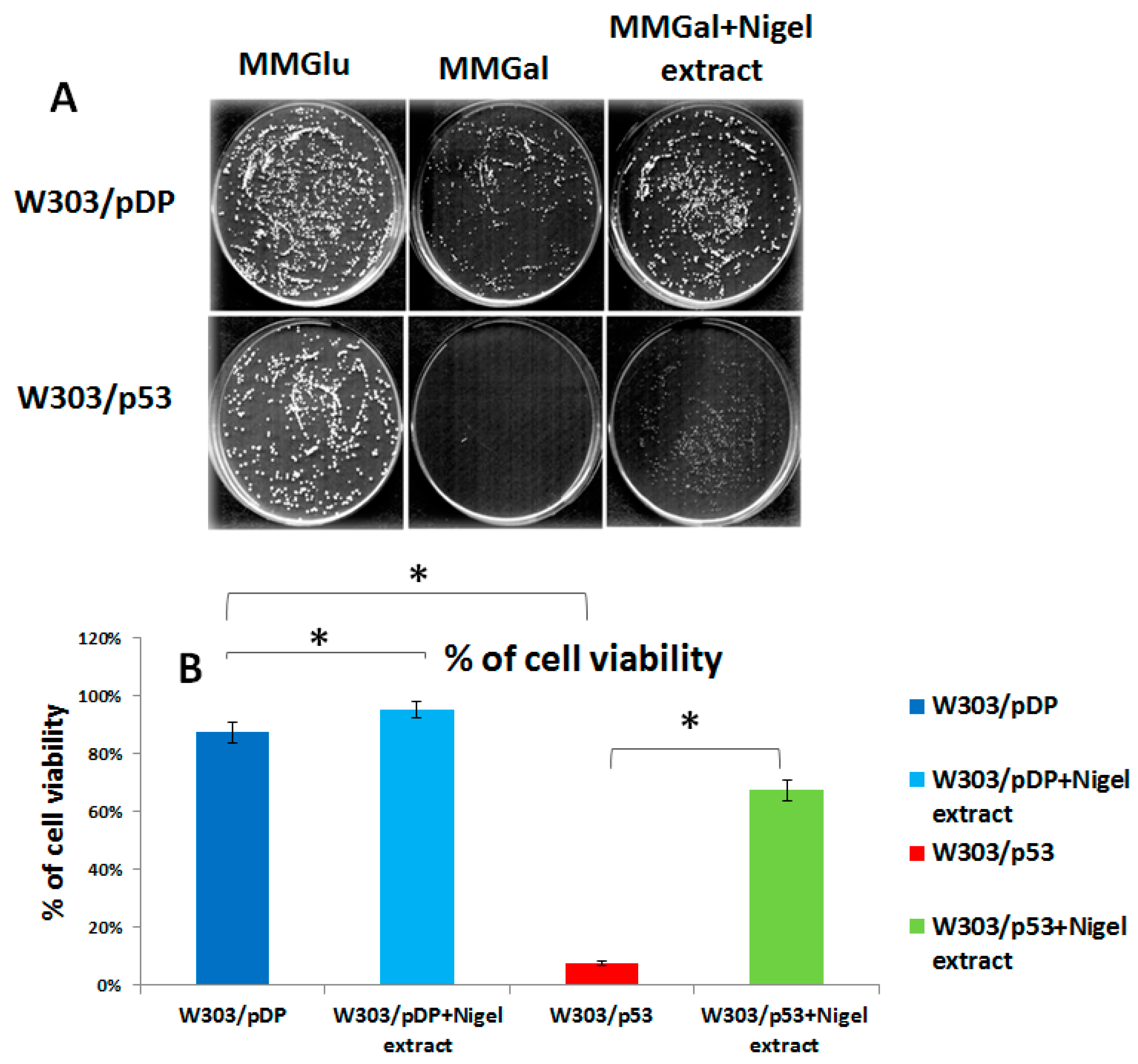 Cells 11 00869 g003 Cells 11 00869 g003