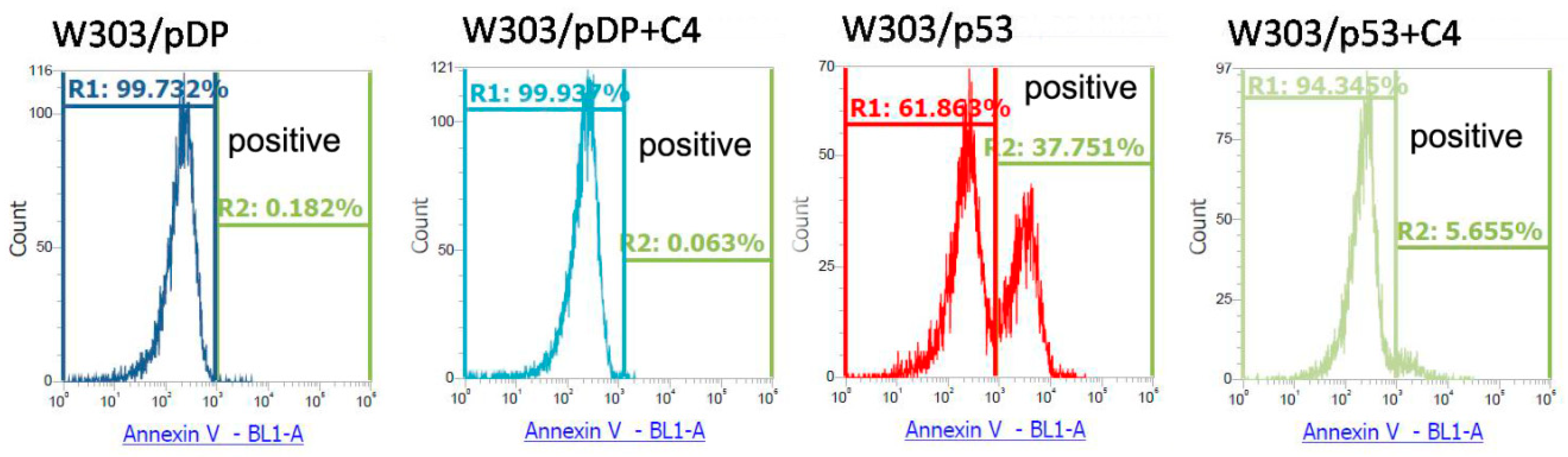 Cells 11 00869 g004 Cells 11 00869 g004